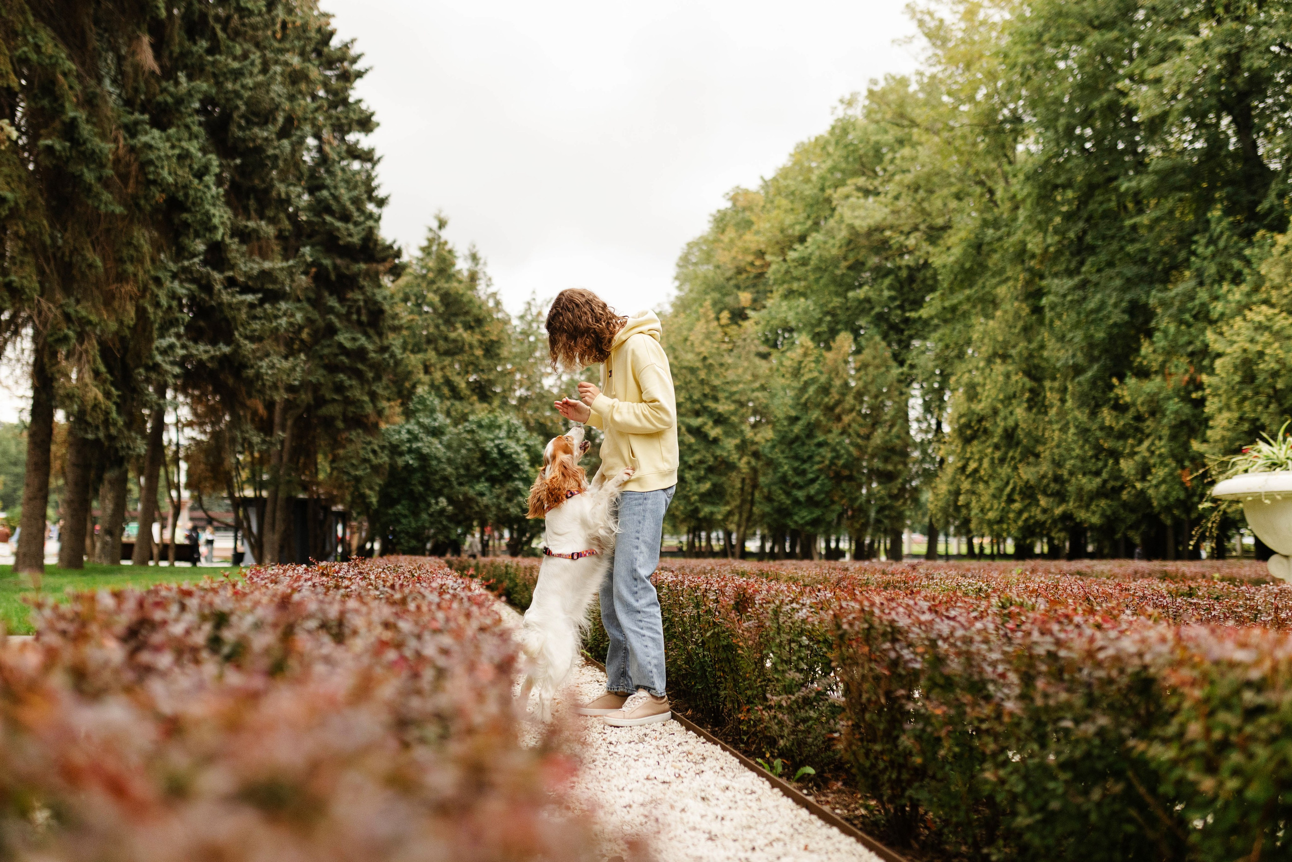 Москва / Мария и спаниель Вега. Фотограф Кузина Вера
