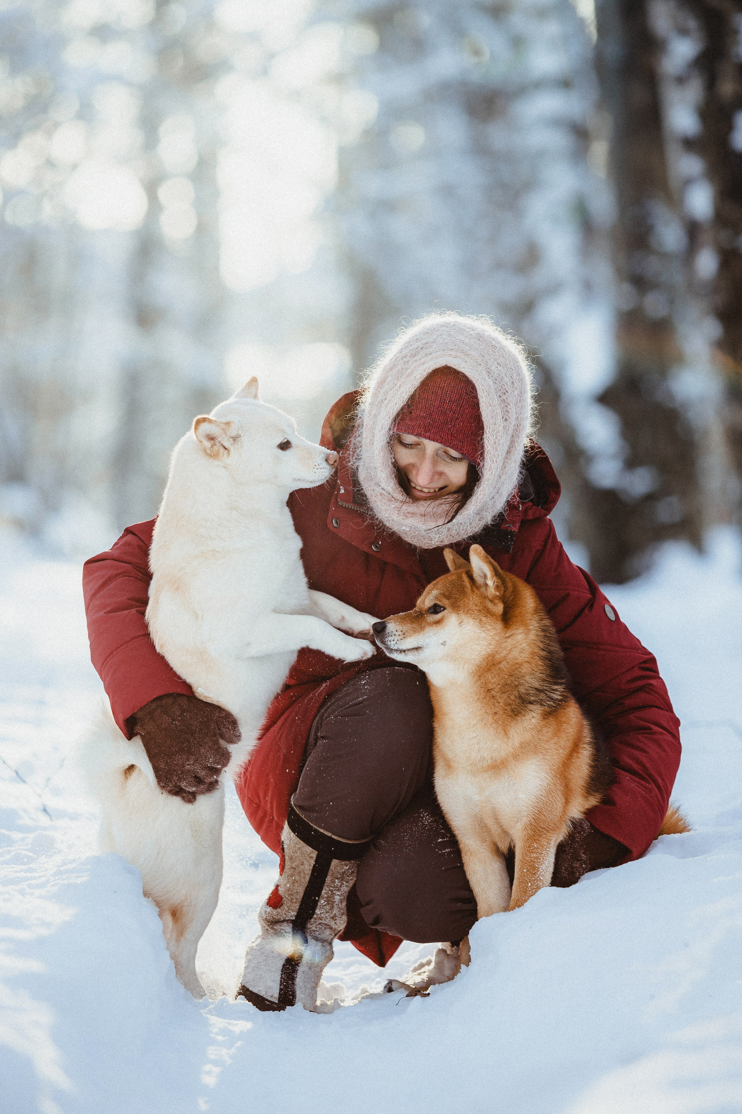 Шед, Цири и Ира