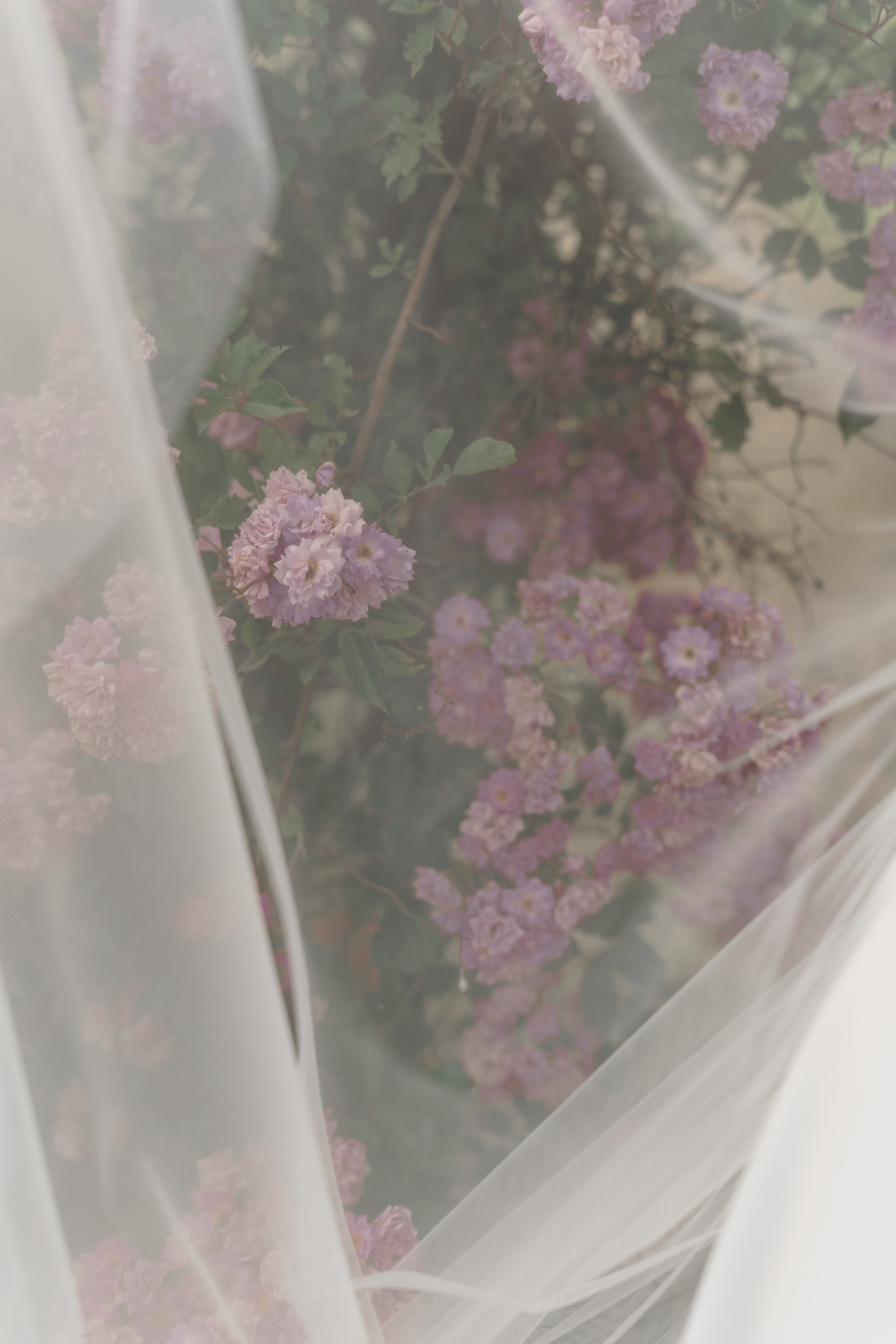 Катя и Влад. Свадебный фотограф Диана Полева