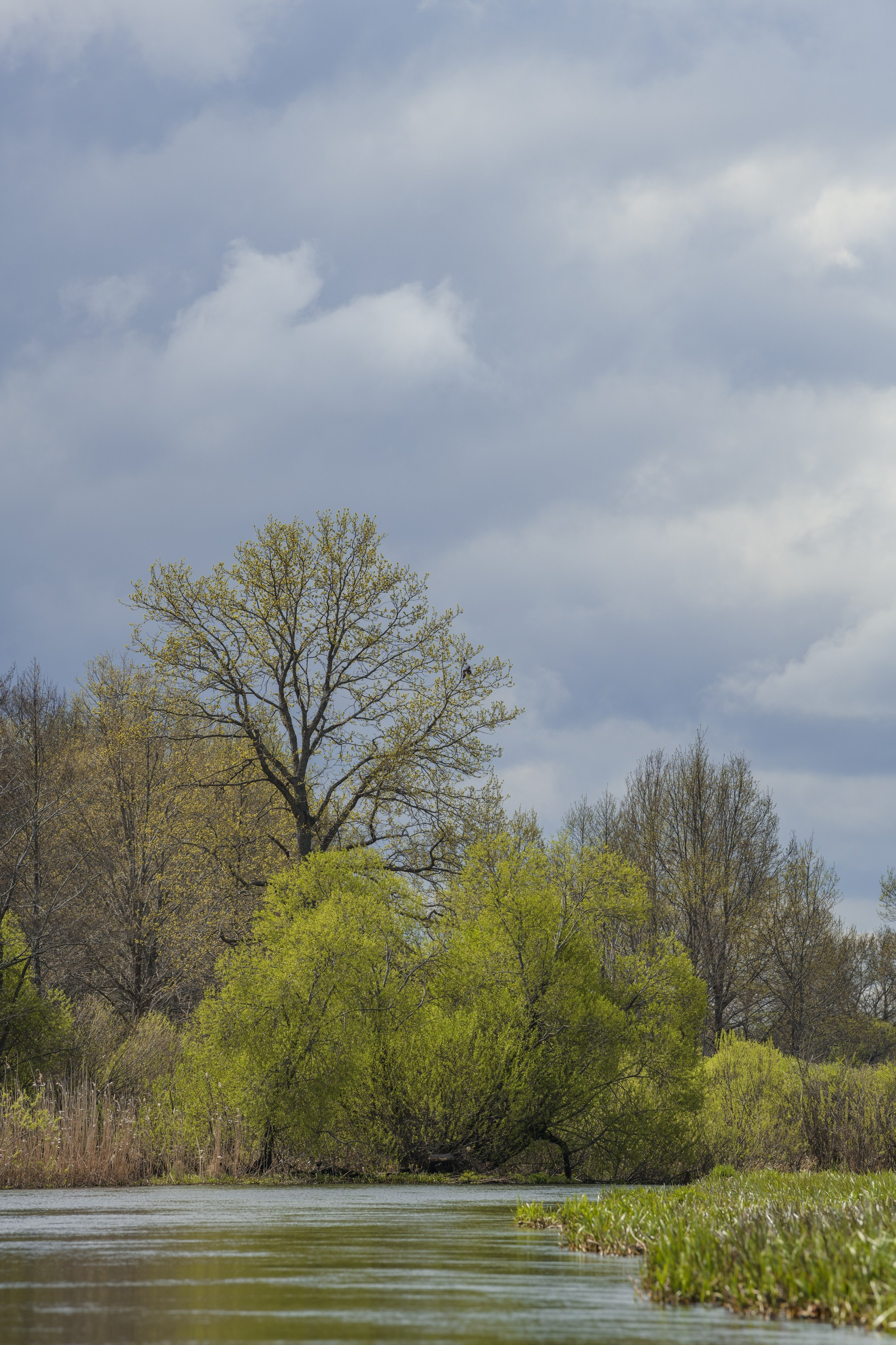Водный поход 1-й кс по реке Случь. Репортажный фотограф Владимир Беляй