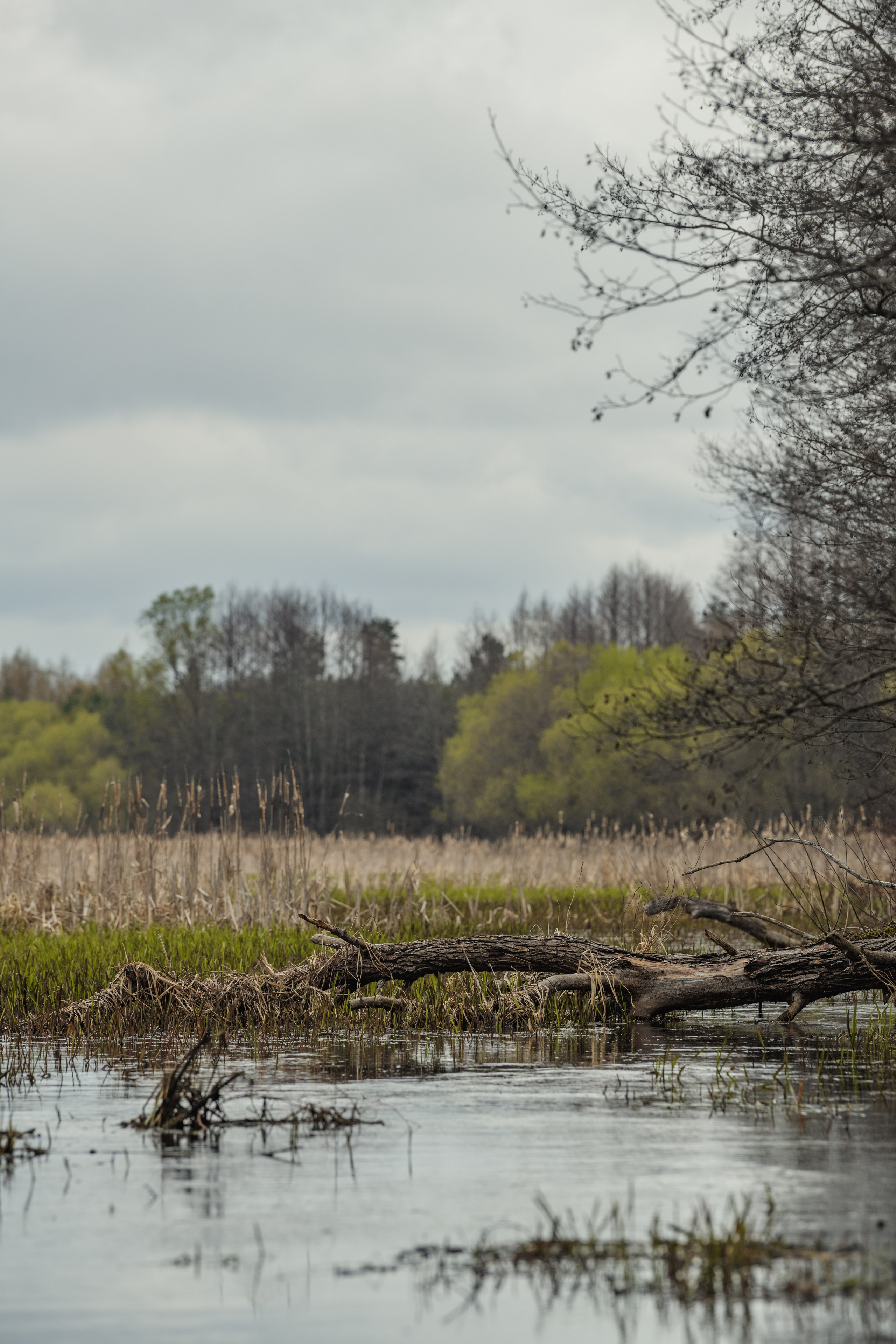 Разведка нового маршрута. Репортажный фотограф Владимир Беляй