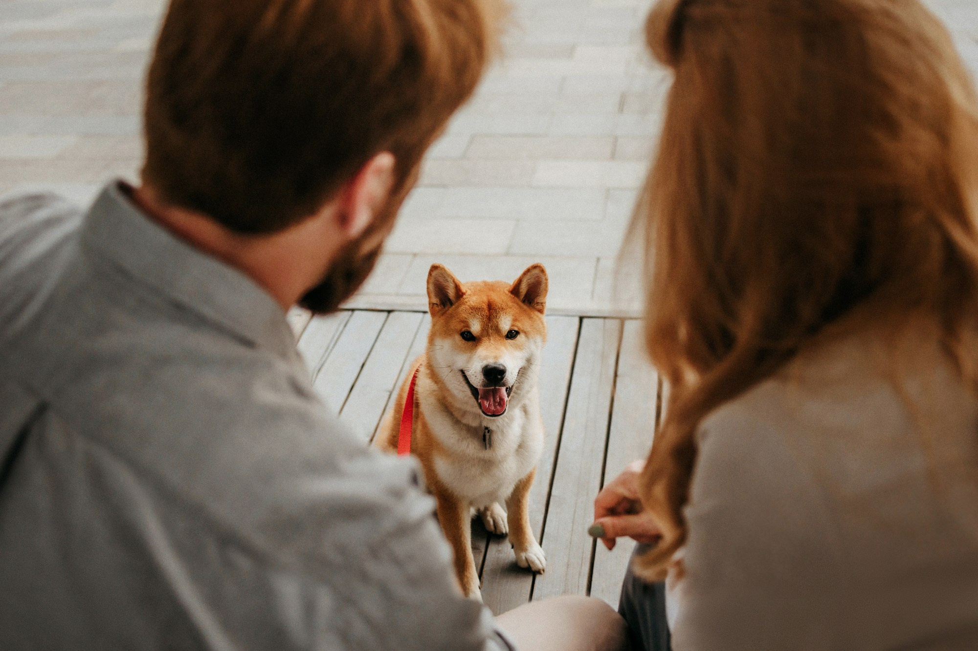 Аня, Влад и Ики. Фотограф-анималист Елена Радченко, Москва