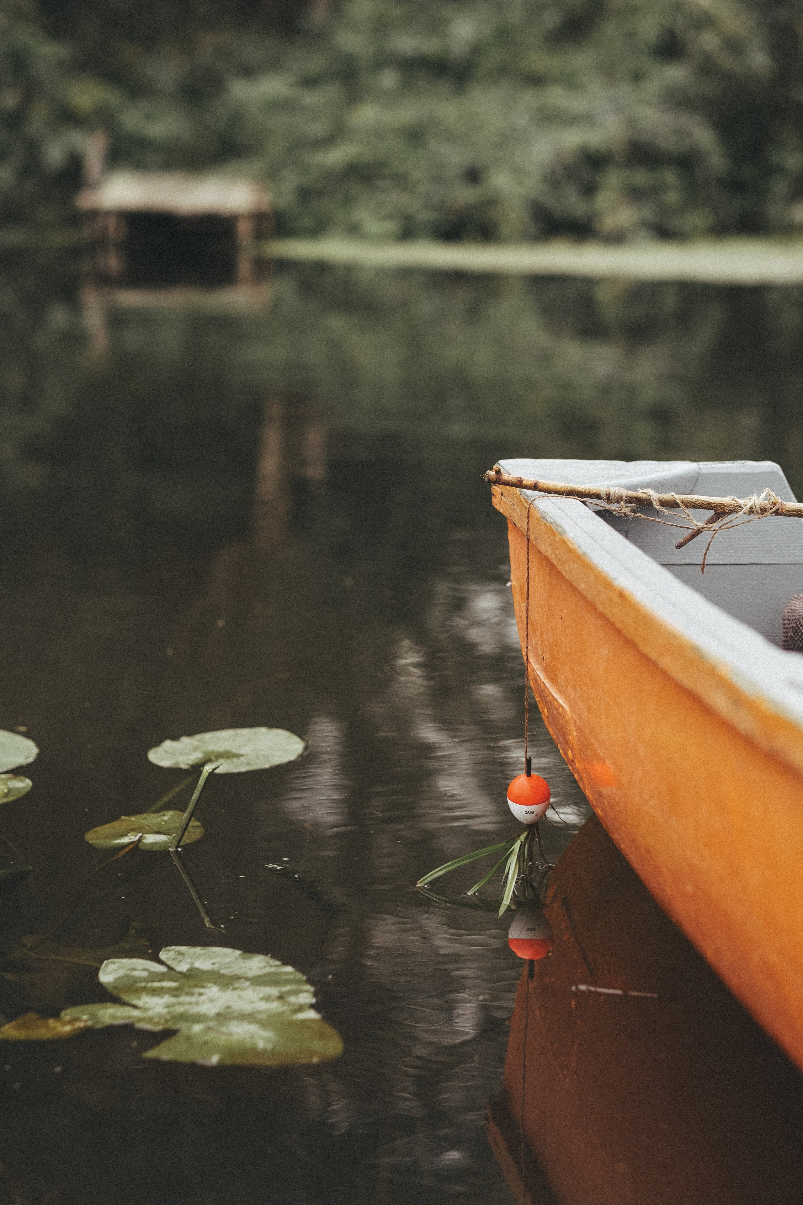 Портфолио. Фотограф Надежда Никитина