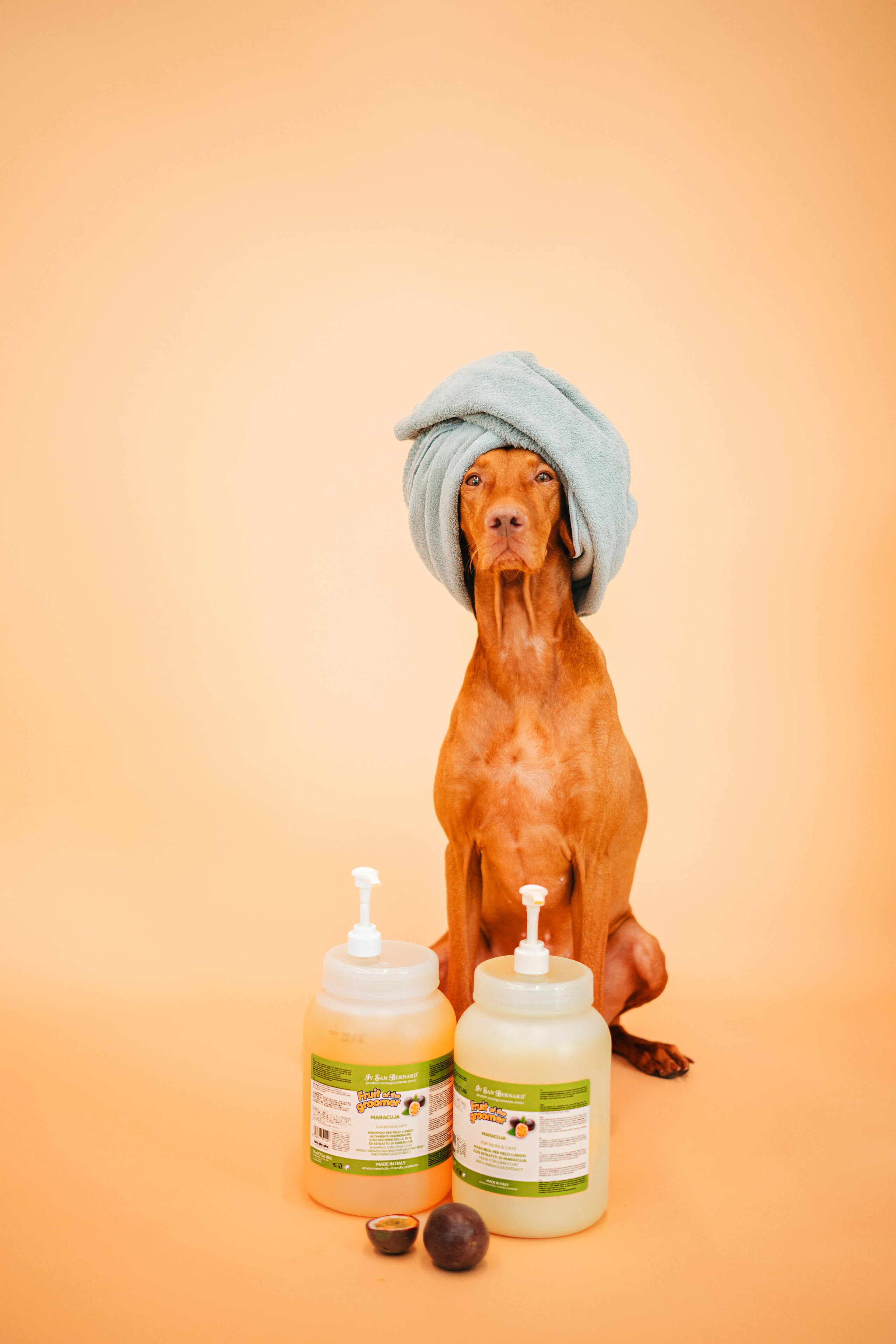 Груминг — салон. Фотограф анималист Осипчикова Мария