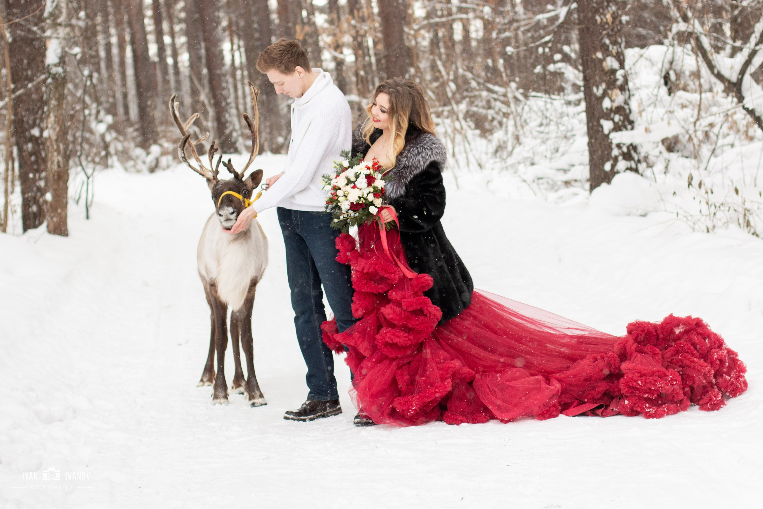 Фотосет с северным оленем. Свадебный и семейный фотограф в Новокузнецке Иван Иванов