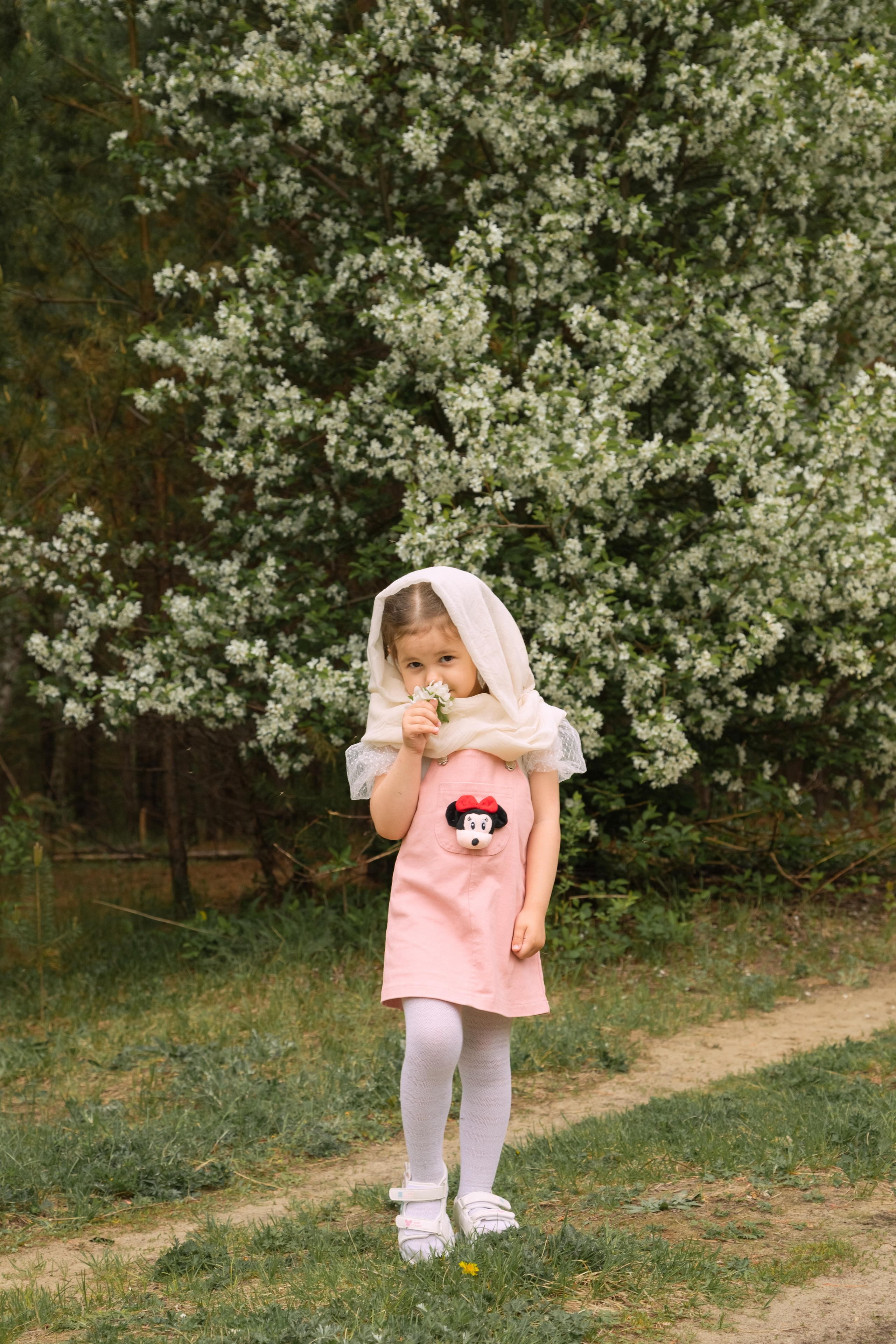 Яблоневый цвет. Фотограф в Томске Евгения Гуляева