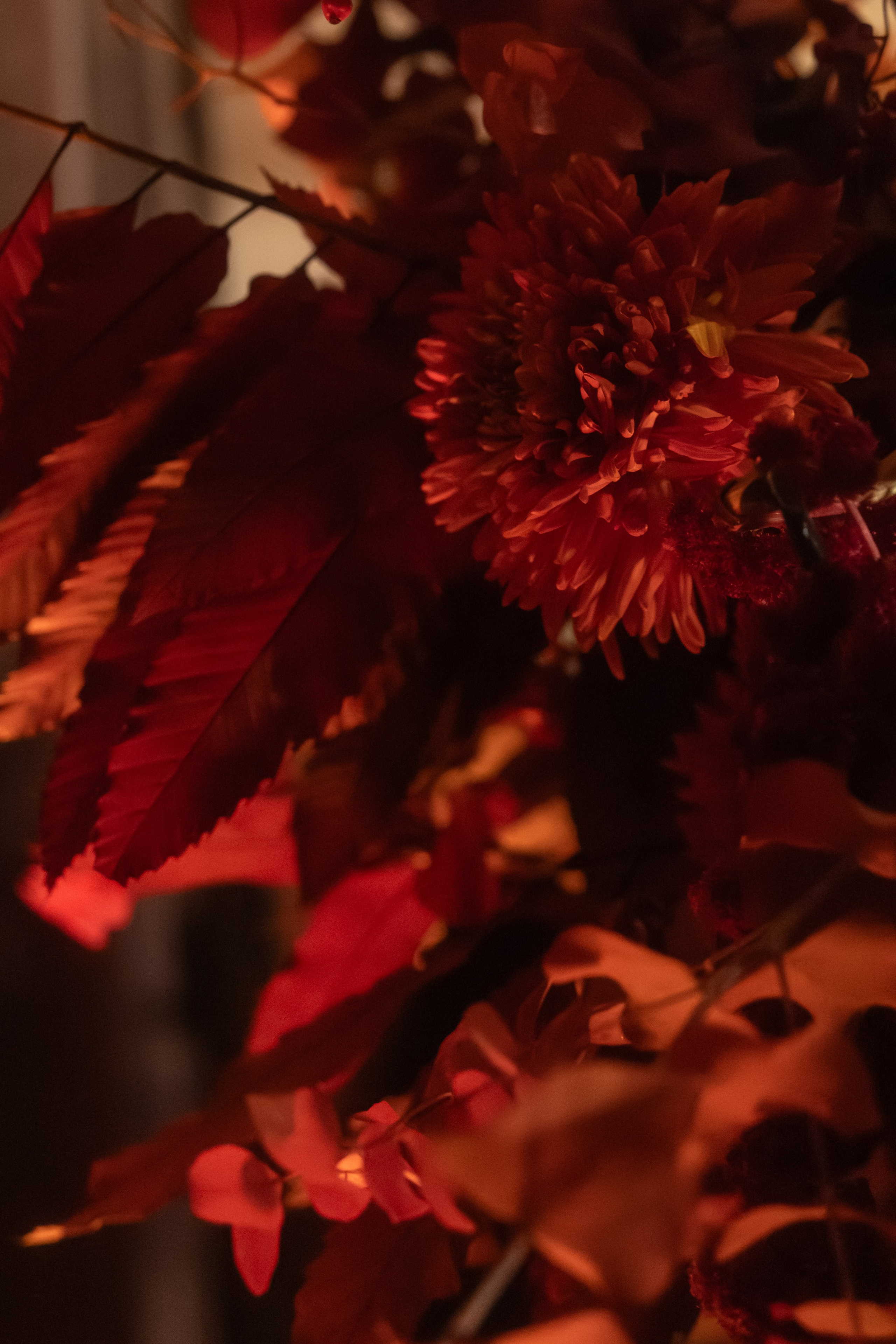 @zvezdikova. Свадебный и репортажный фотограф в Москве Владимир Сергеев | Naysaikolo