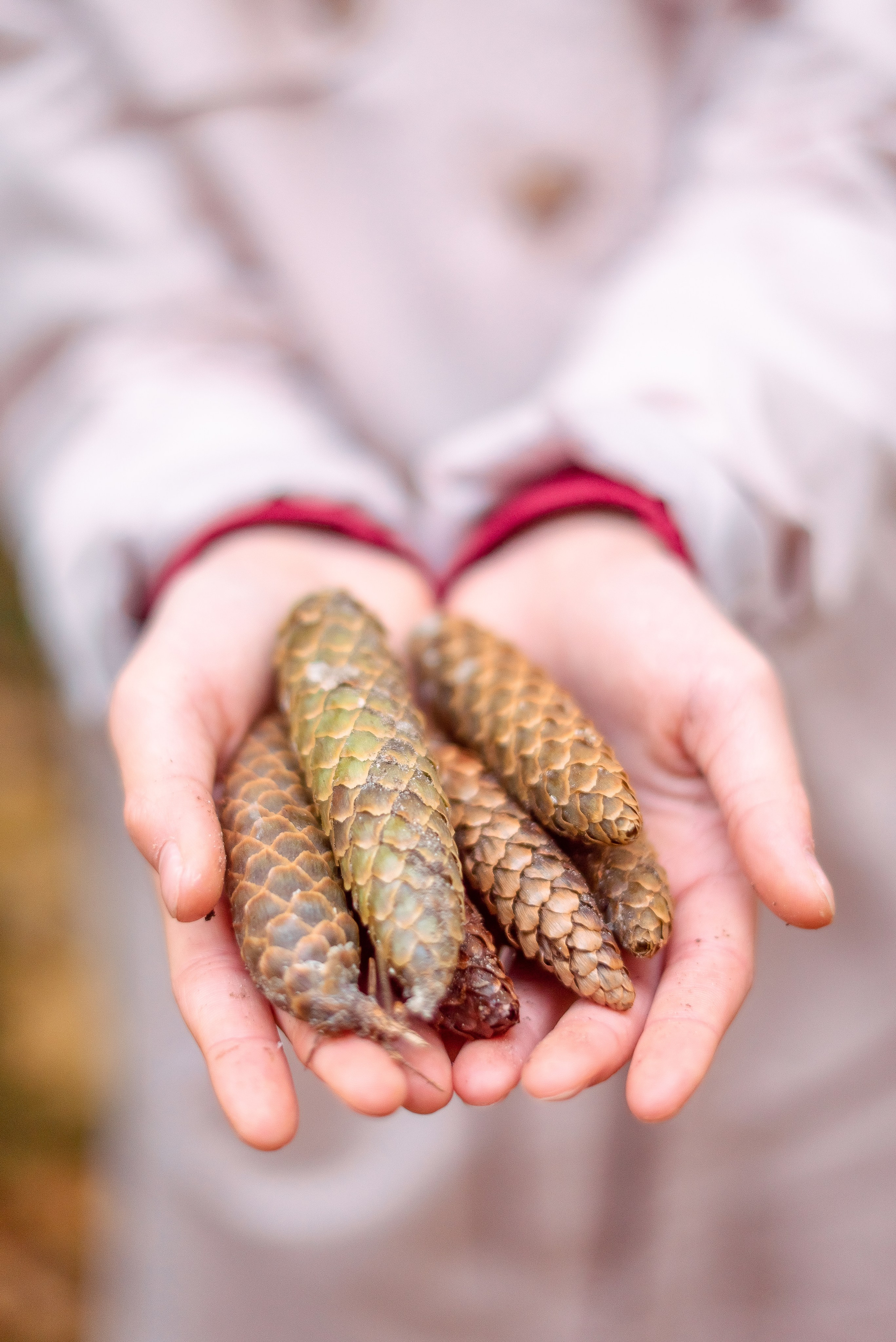 Осенняя прогулка семьи Андрея и Марины. Свадебный и семейный фотограф в Москве Юлия Винник