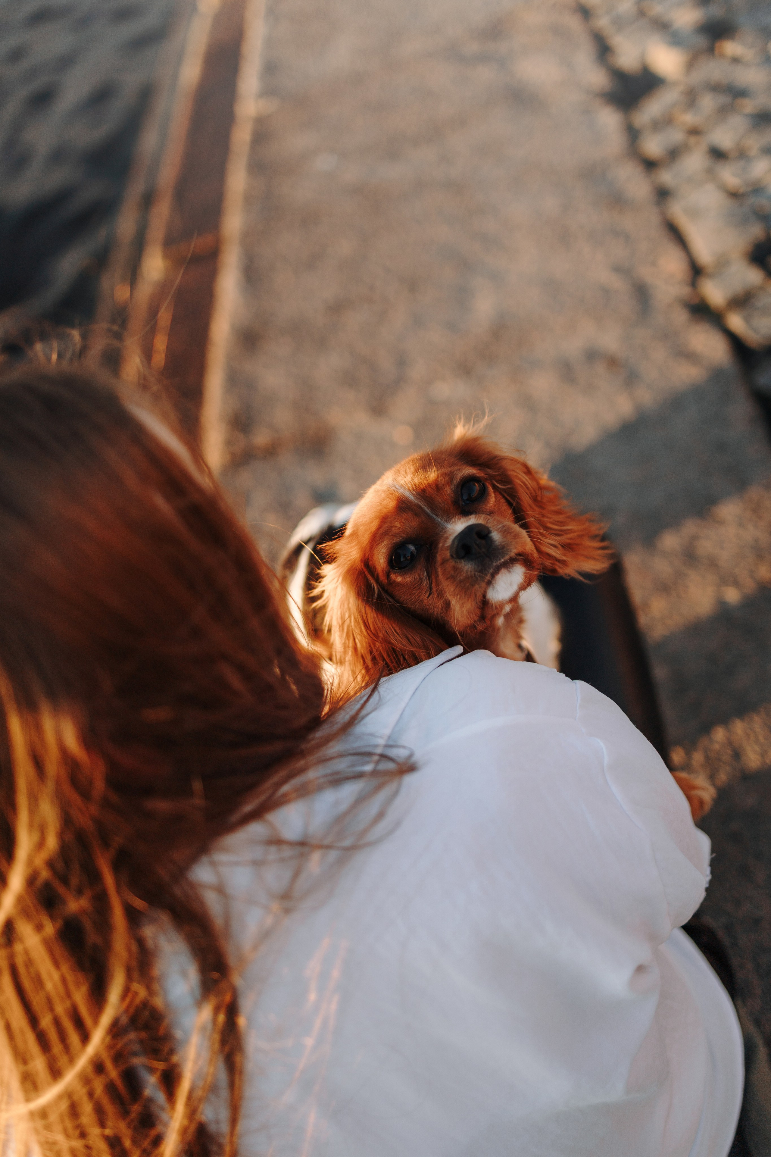 Аня, Стеша и Степан. Фотограф — Анималист | Санкт-Петербург