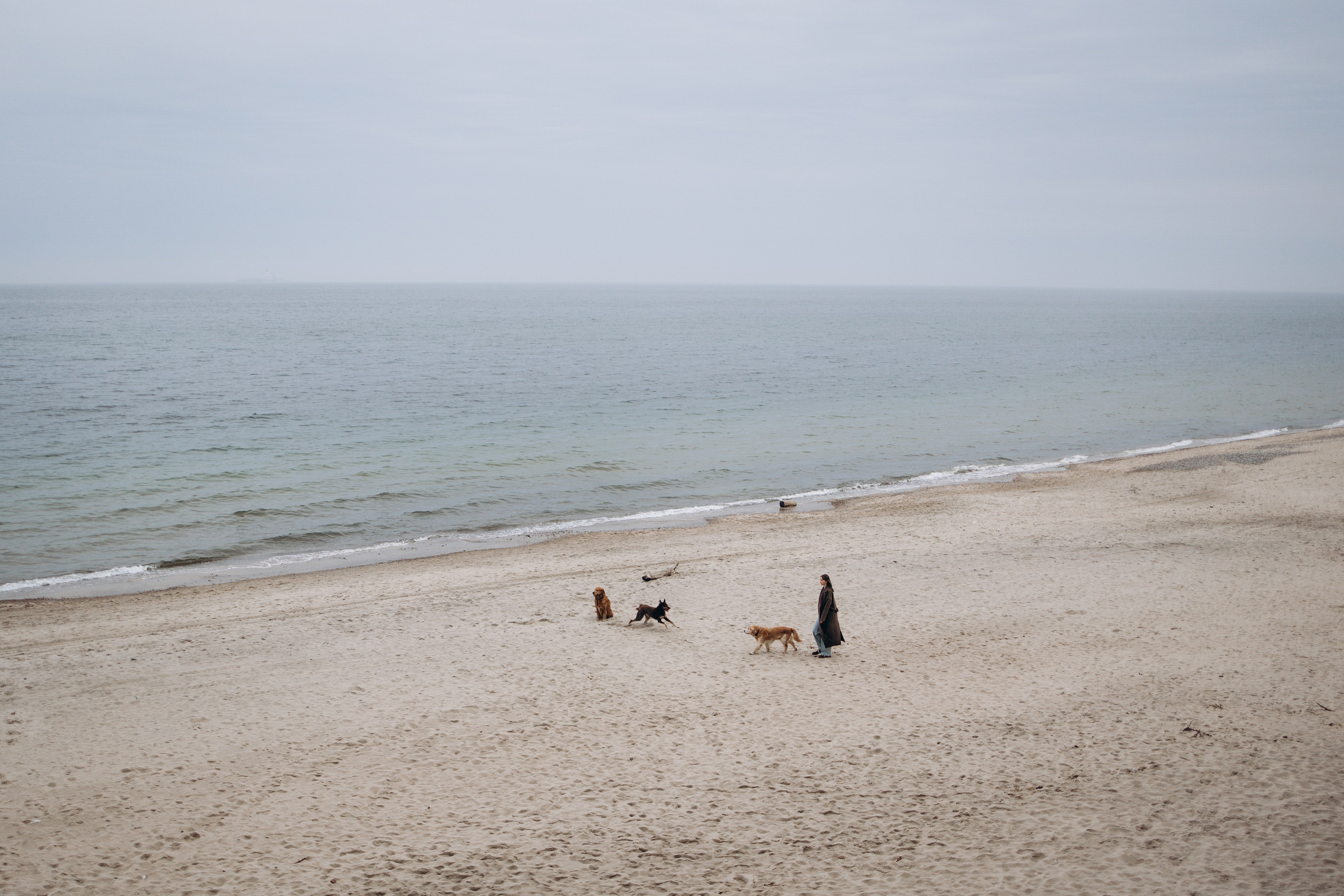 Юля и Максик. Фотограф — Анималист | Санкт-Петербург