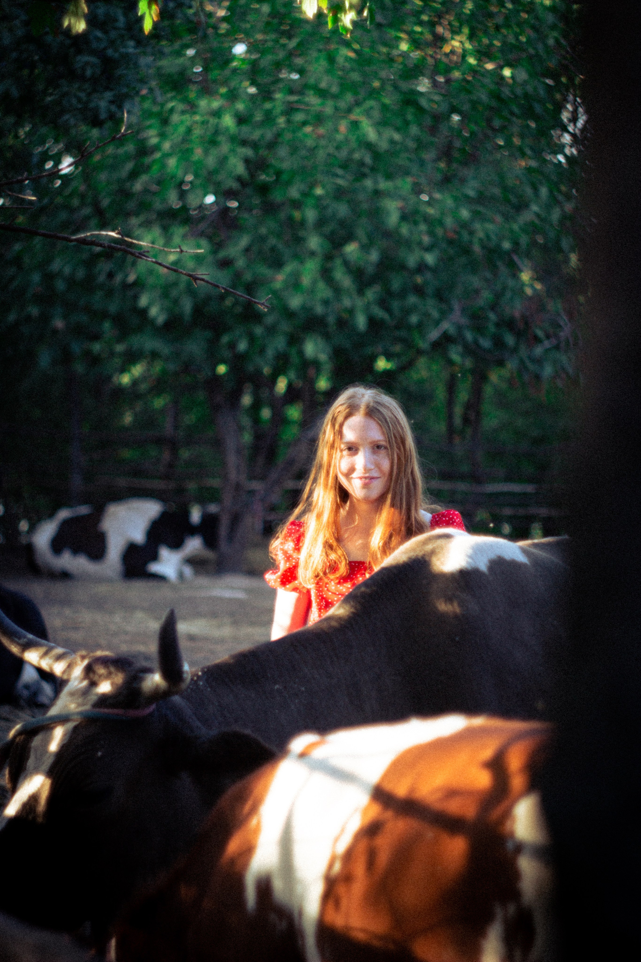 Платье в горошек. • Фотограф Александра Светозар Алчевск •