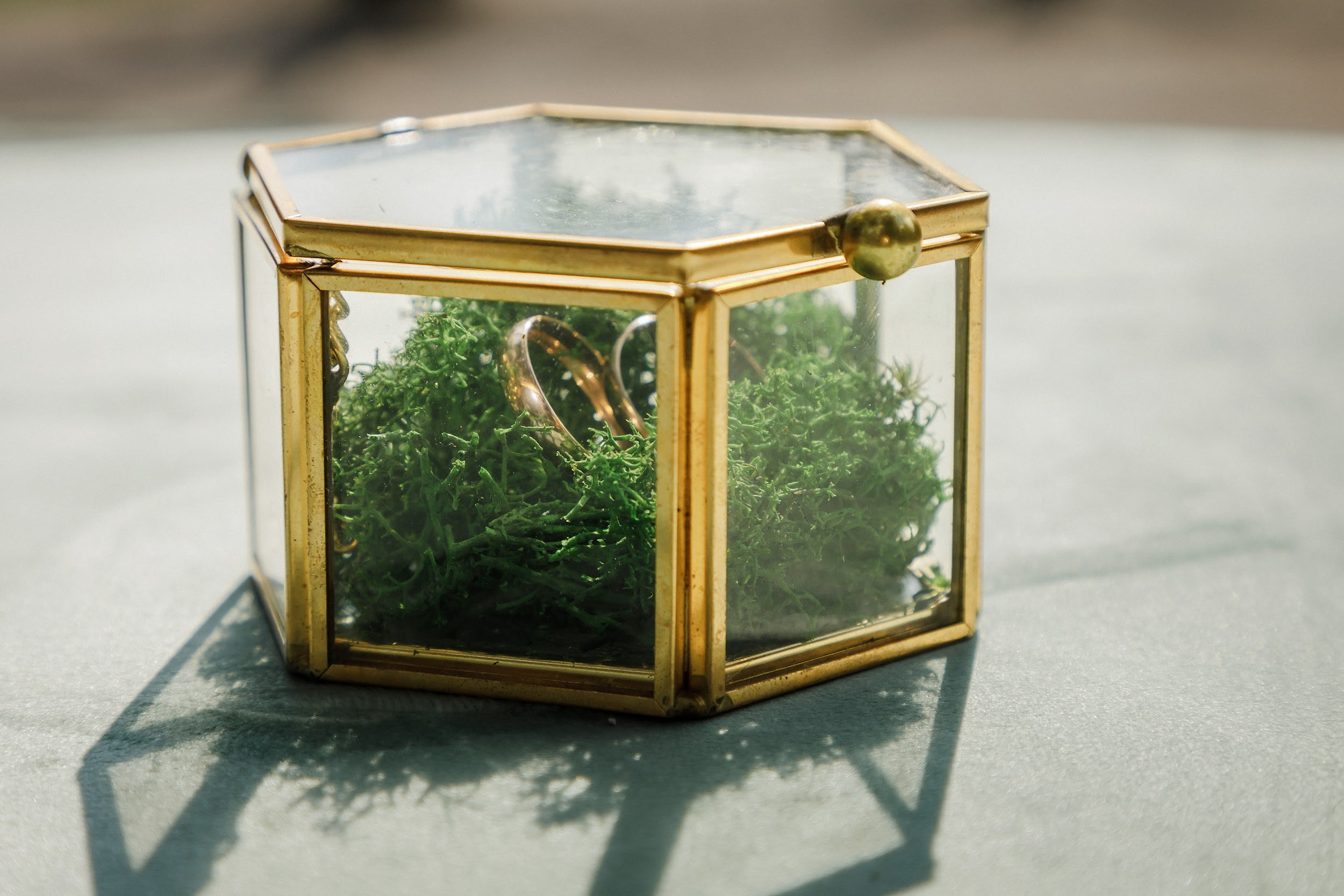 Свадьба Анжелики и Евгения