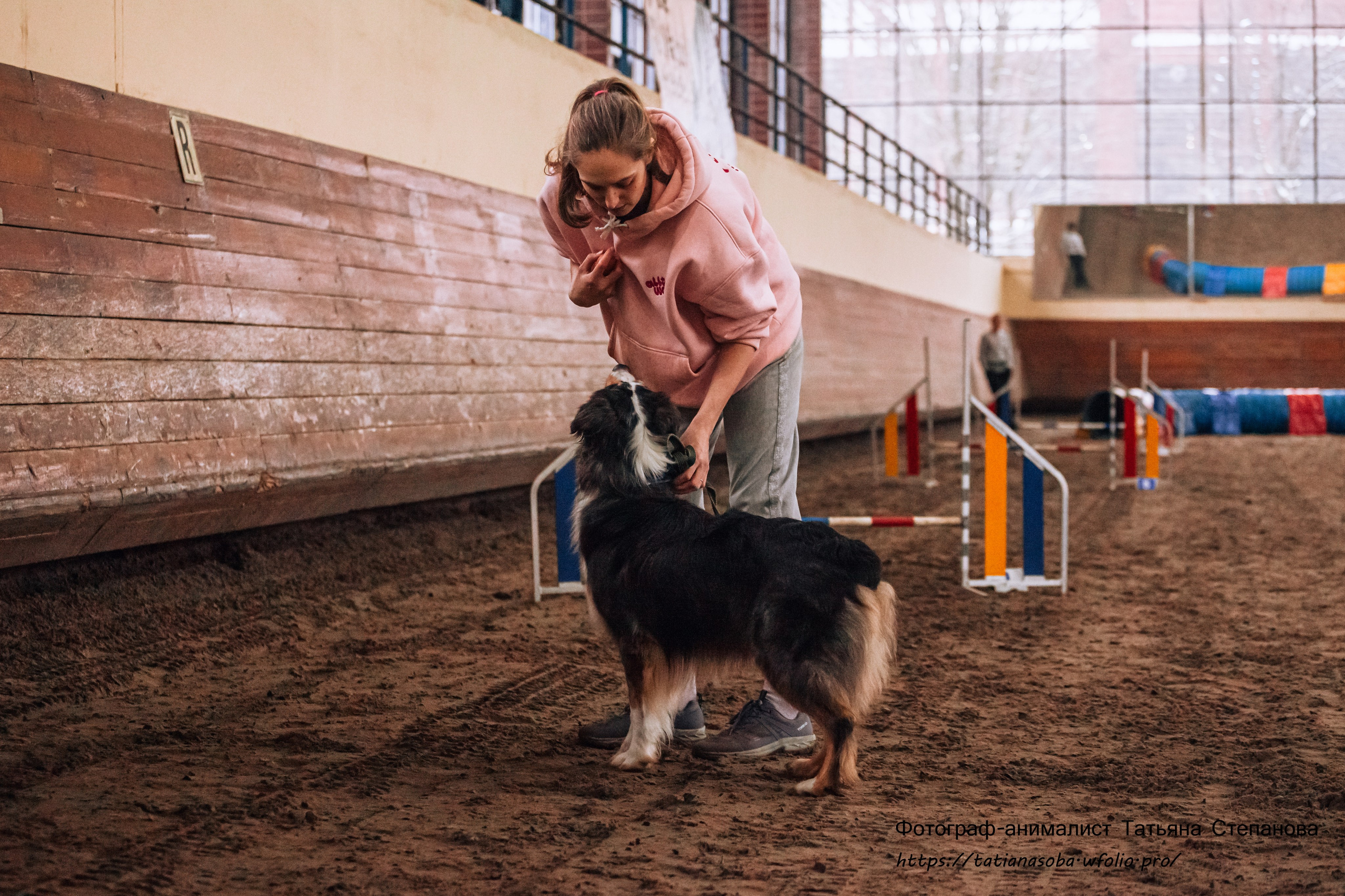 Соревнования по Аджилити 25.02.2024. Фотограф-анималист Татьяна Степанова