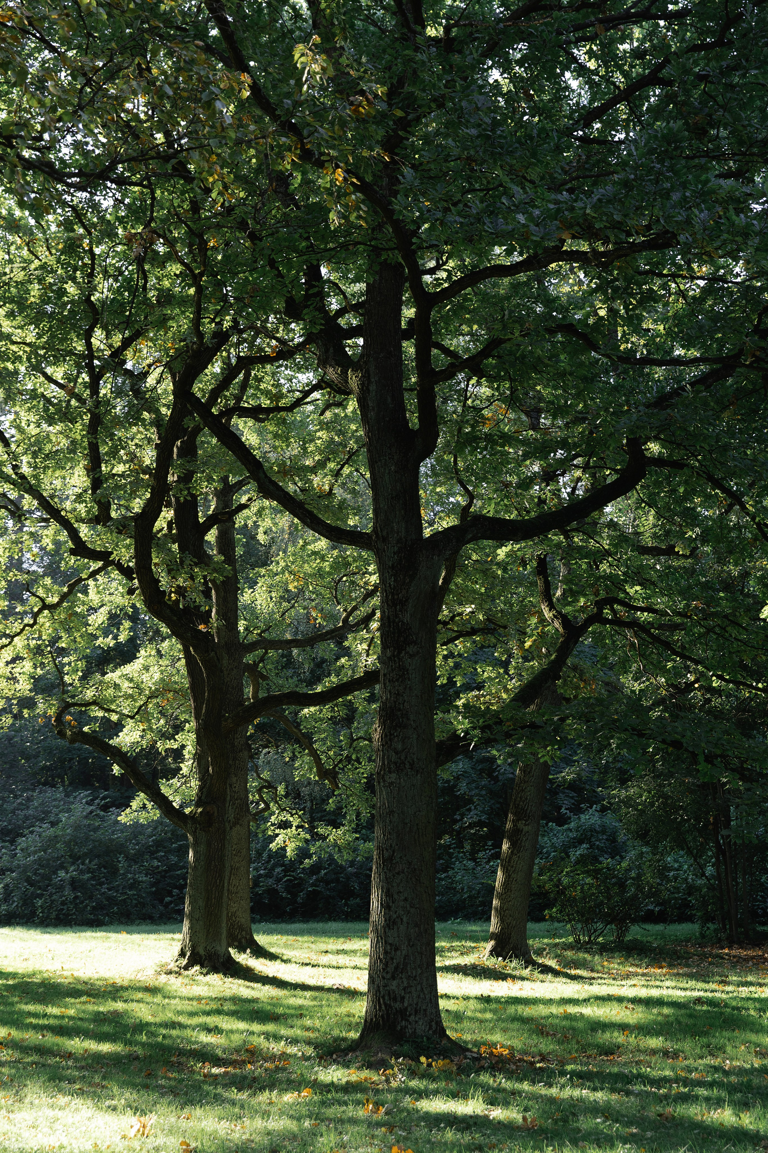 «В стороне от маршрута». Фотограф Вышний Волочек/Тверь/Москва/Санкт-Петербург