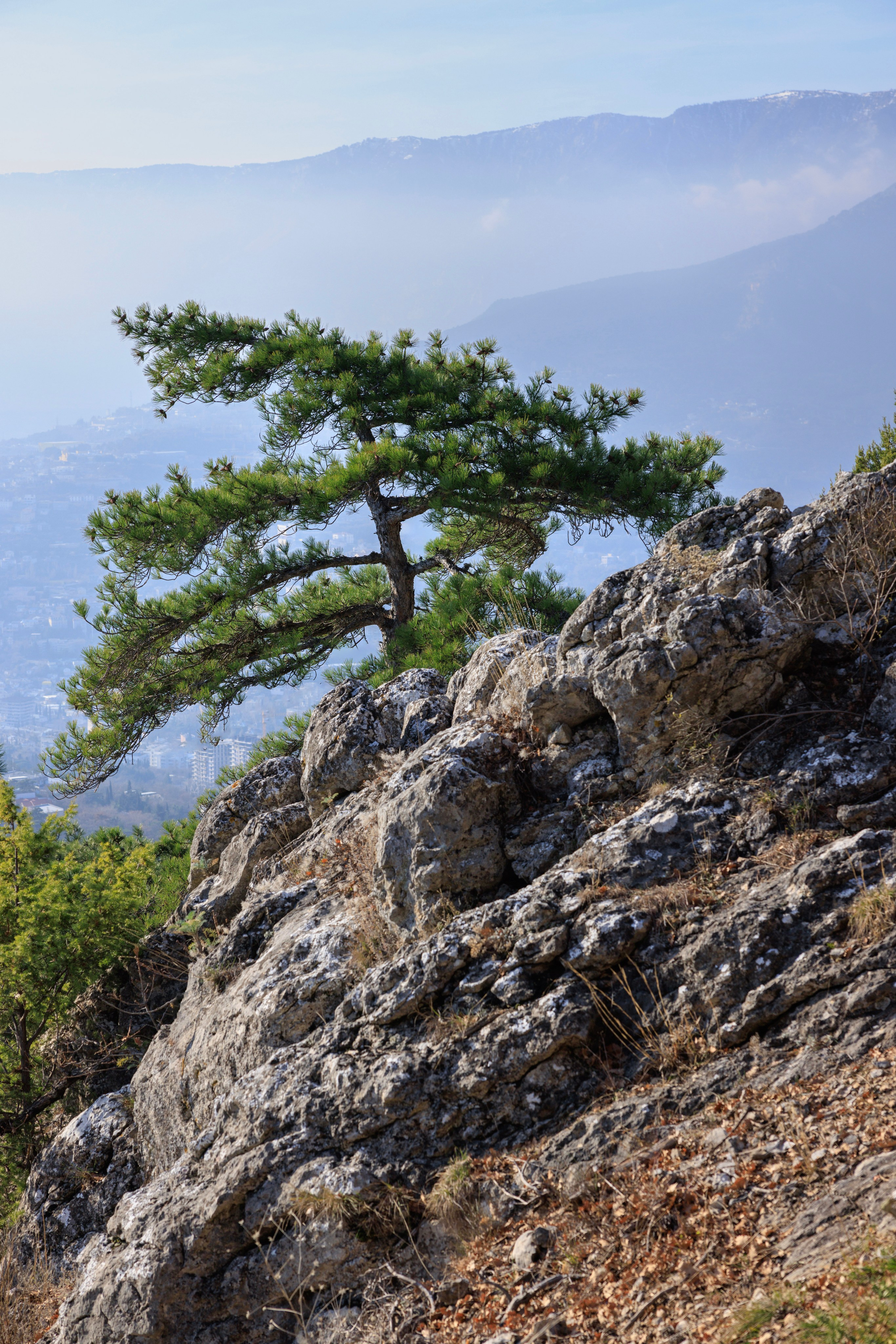 Сайт фотографа Андрея Басова