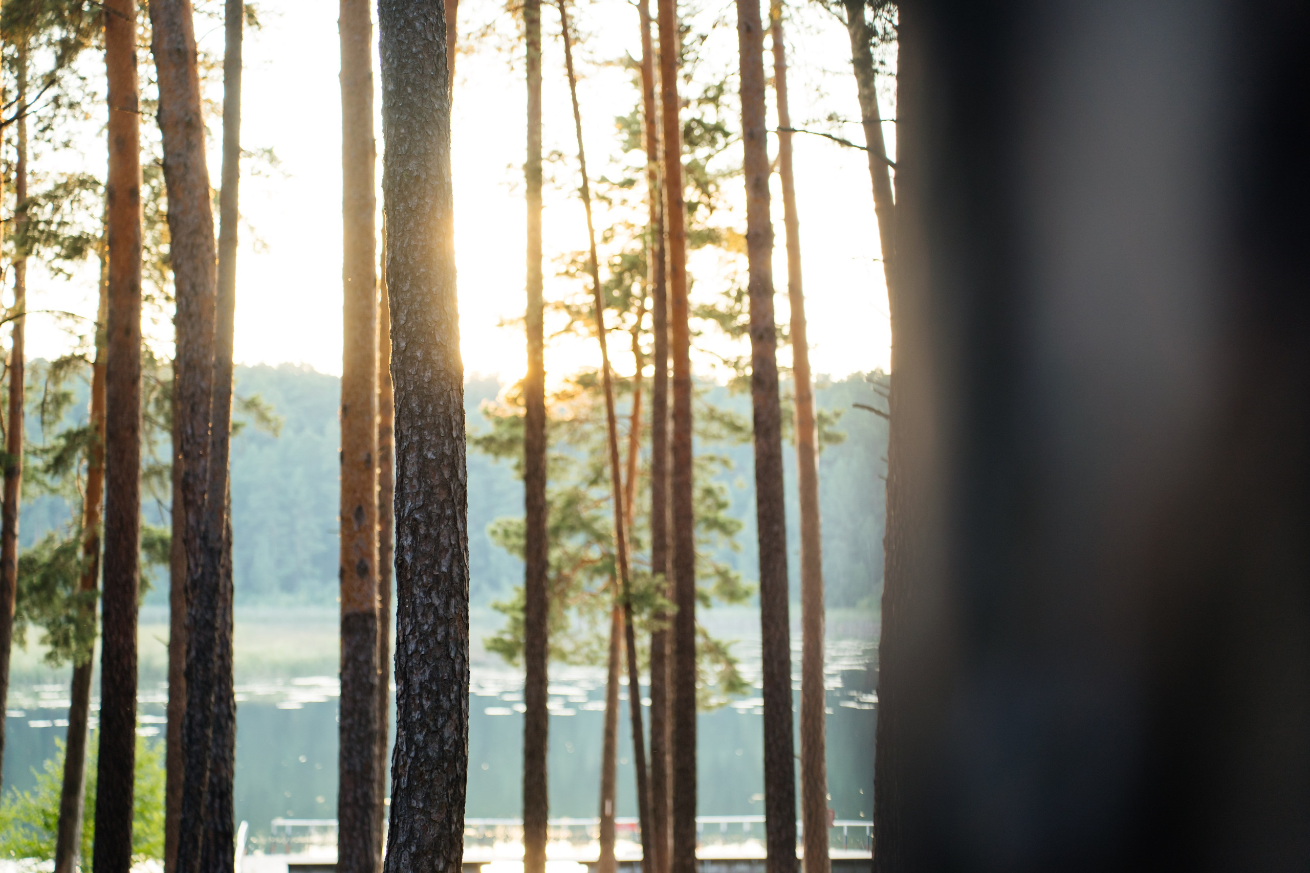 Екатерина и Ярослав. Видеограф и Фотограф в Челябинске Ксения и Владимир Рюмины