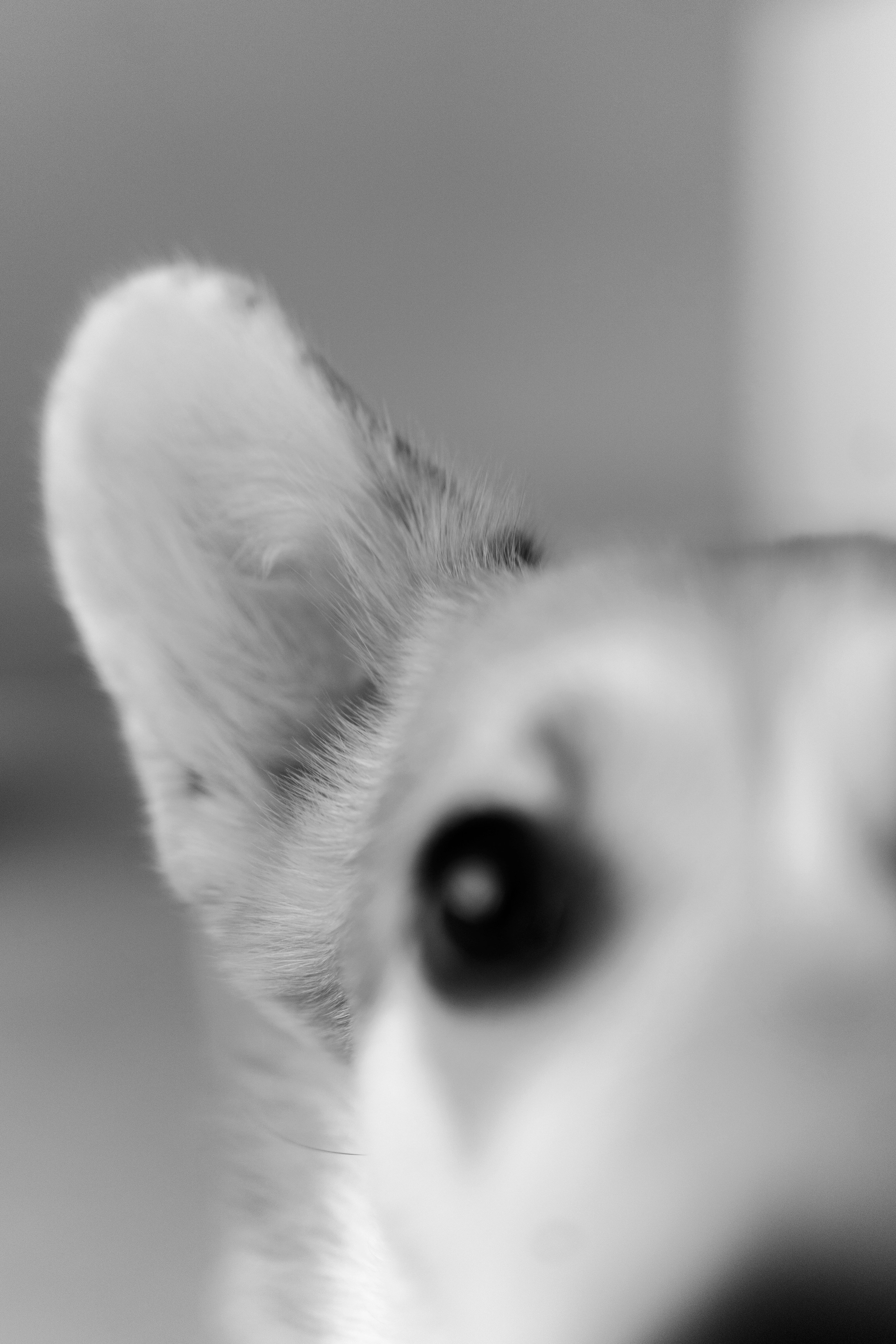 Портретный и репортажный фотограф Настя Климачева