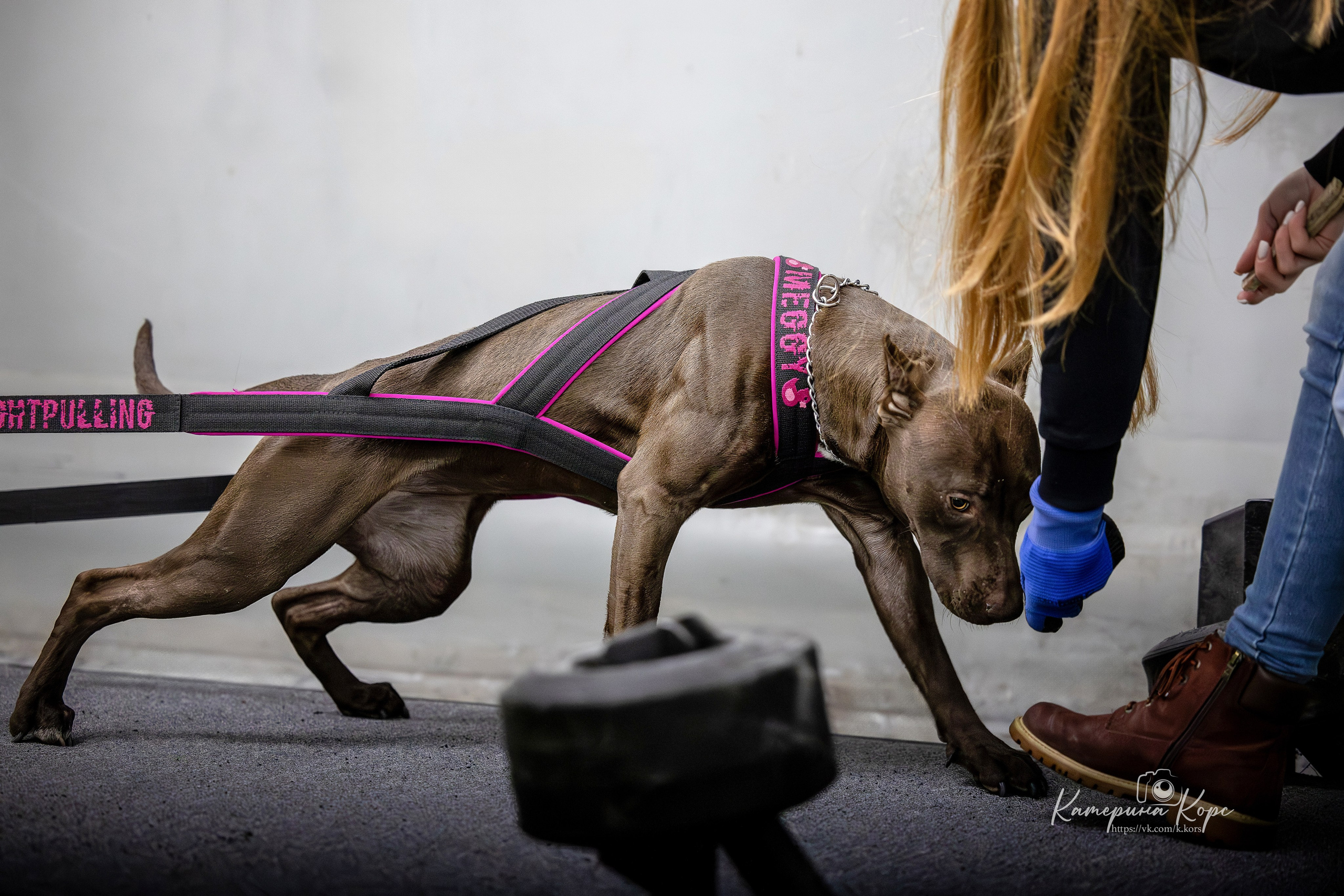 Спорт. Главная