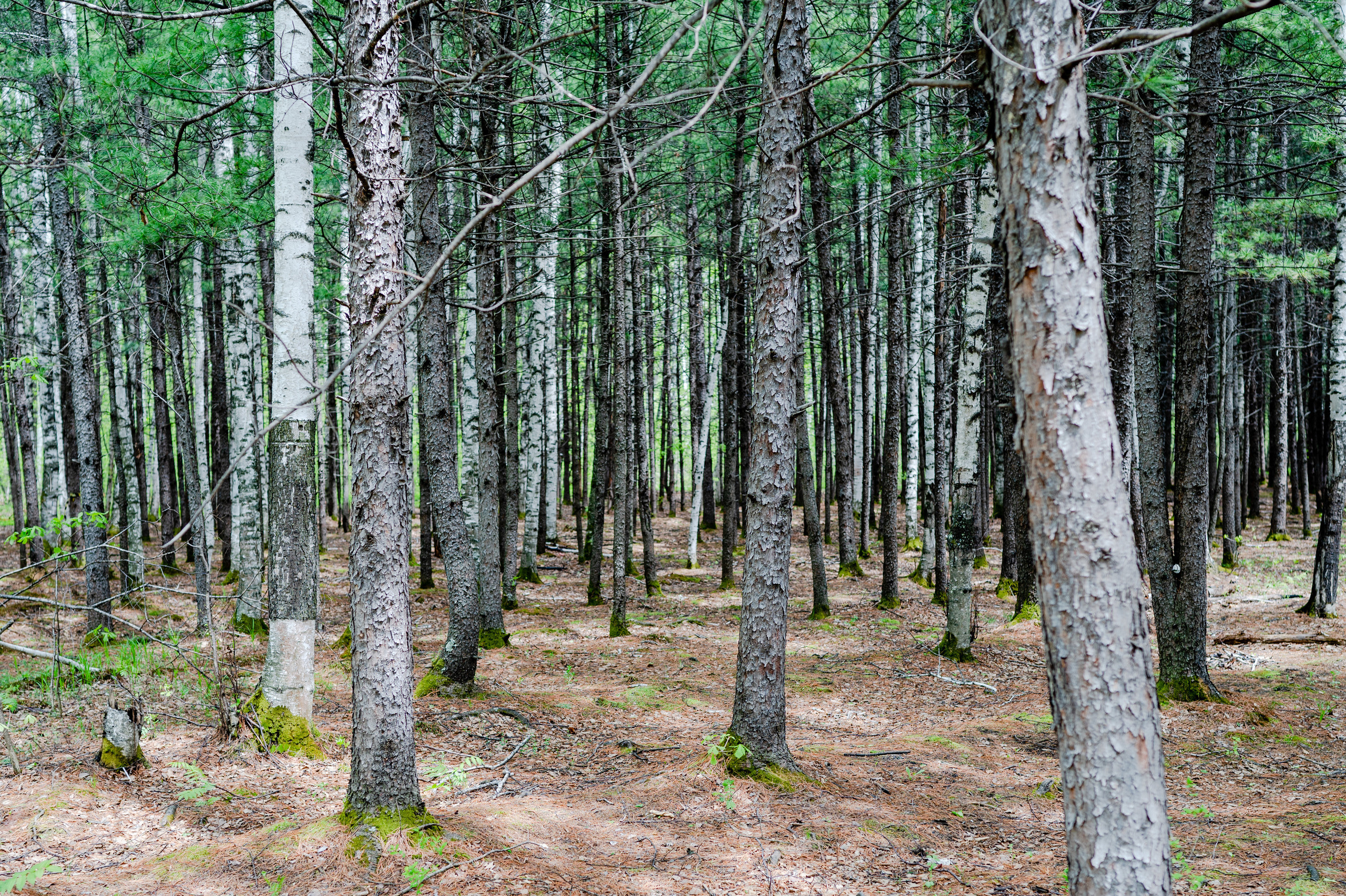 Отзывы. Семейный и детский фотограф в Хабаровске Матюшкова Екатерина