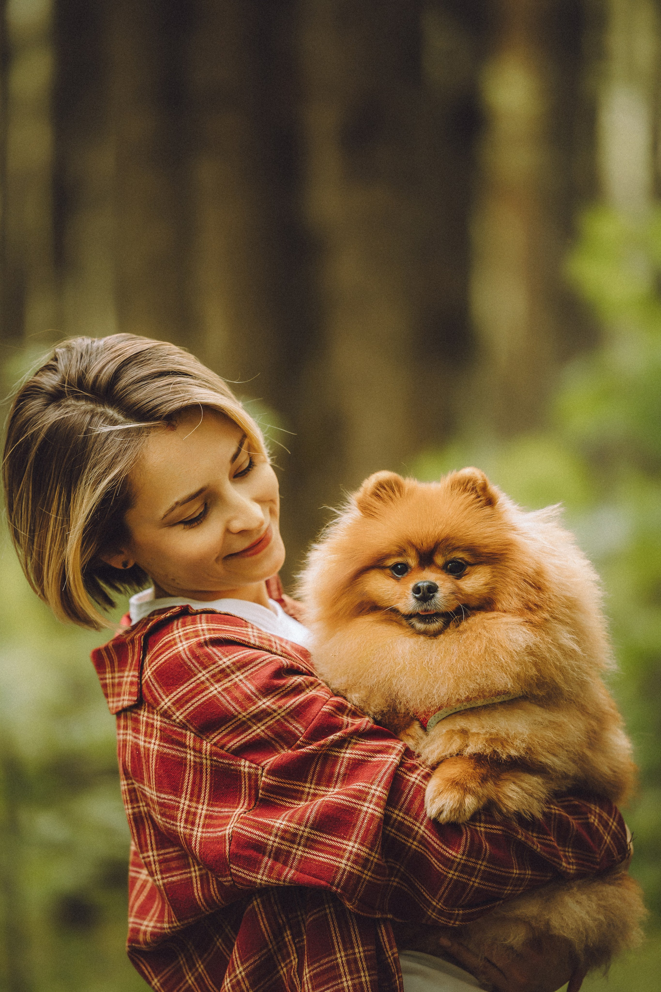 Лорик и его семья