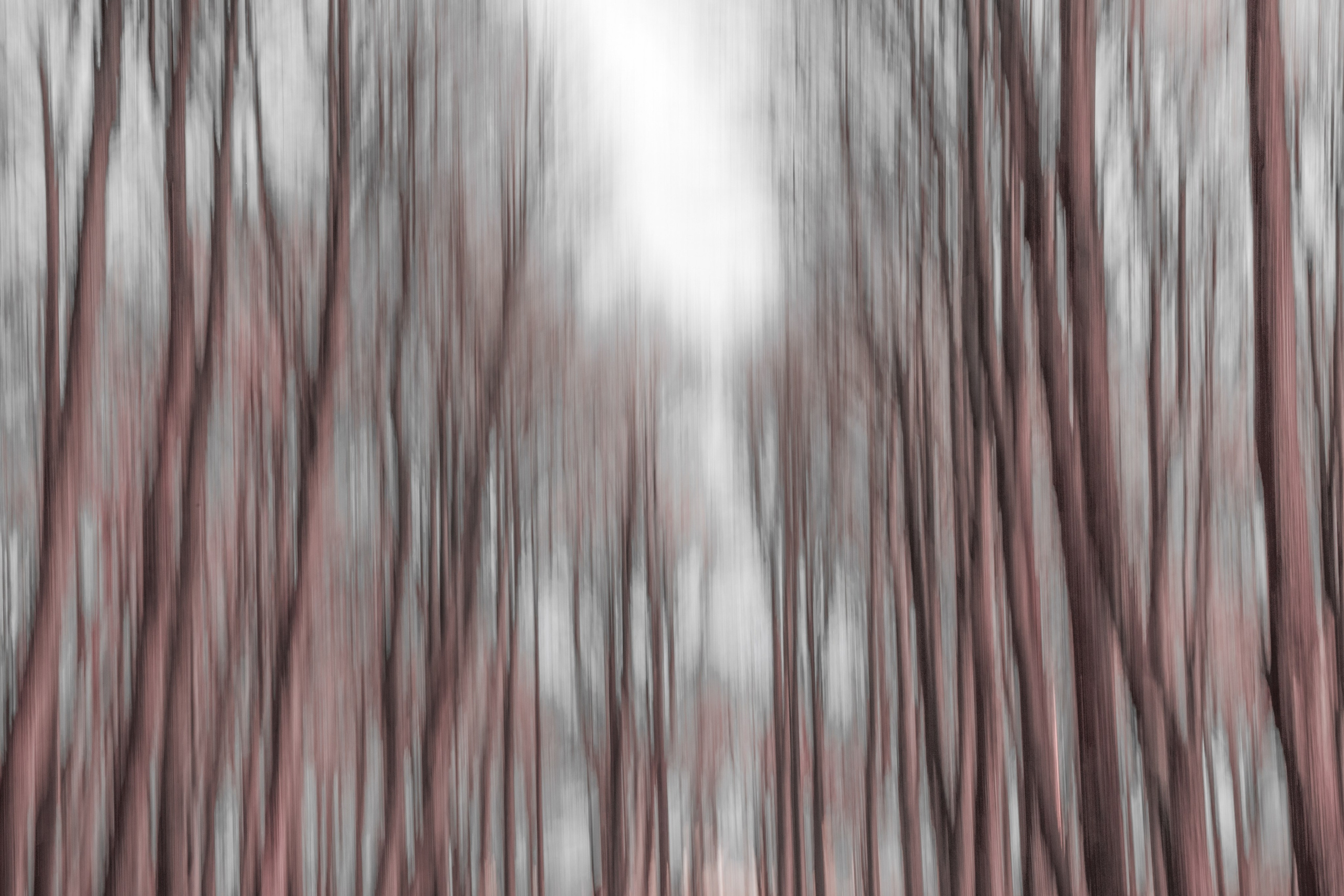 Фотограф Ольга Дунаева