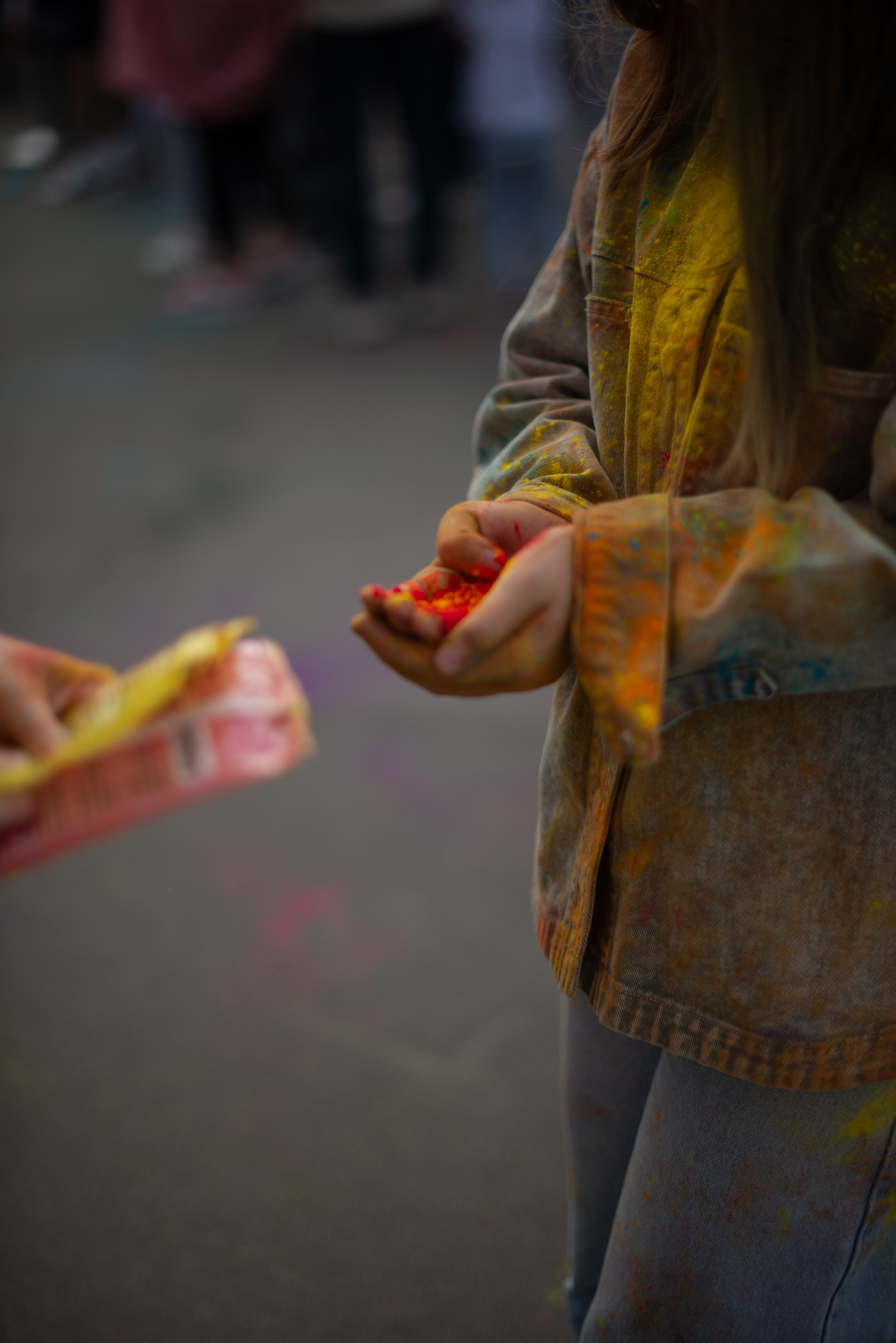 День Индии юбилейный 10й фестиваль. Victoria Radjevna Репортажный Фотограф — Видеограф Москва • Санкт-Петербург