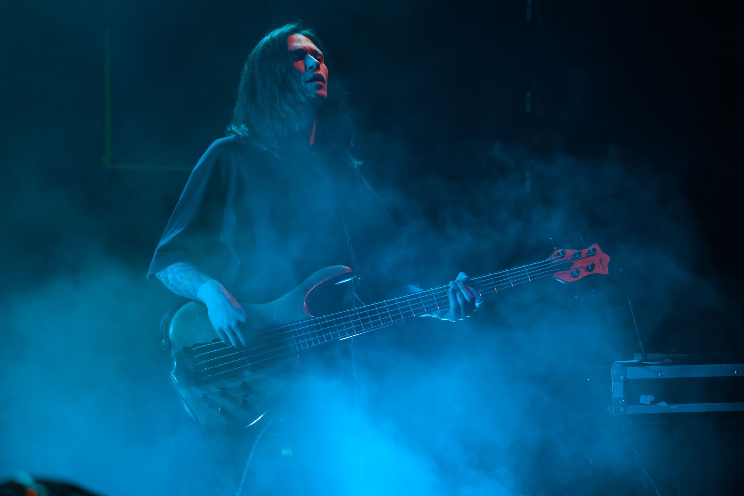 Animal ДжаZ. Репортажный фотограф Алексей Пирязев