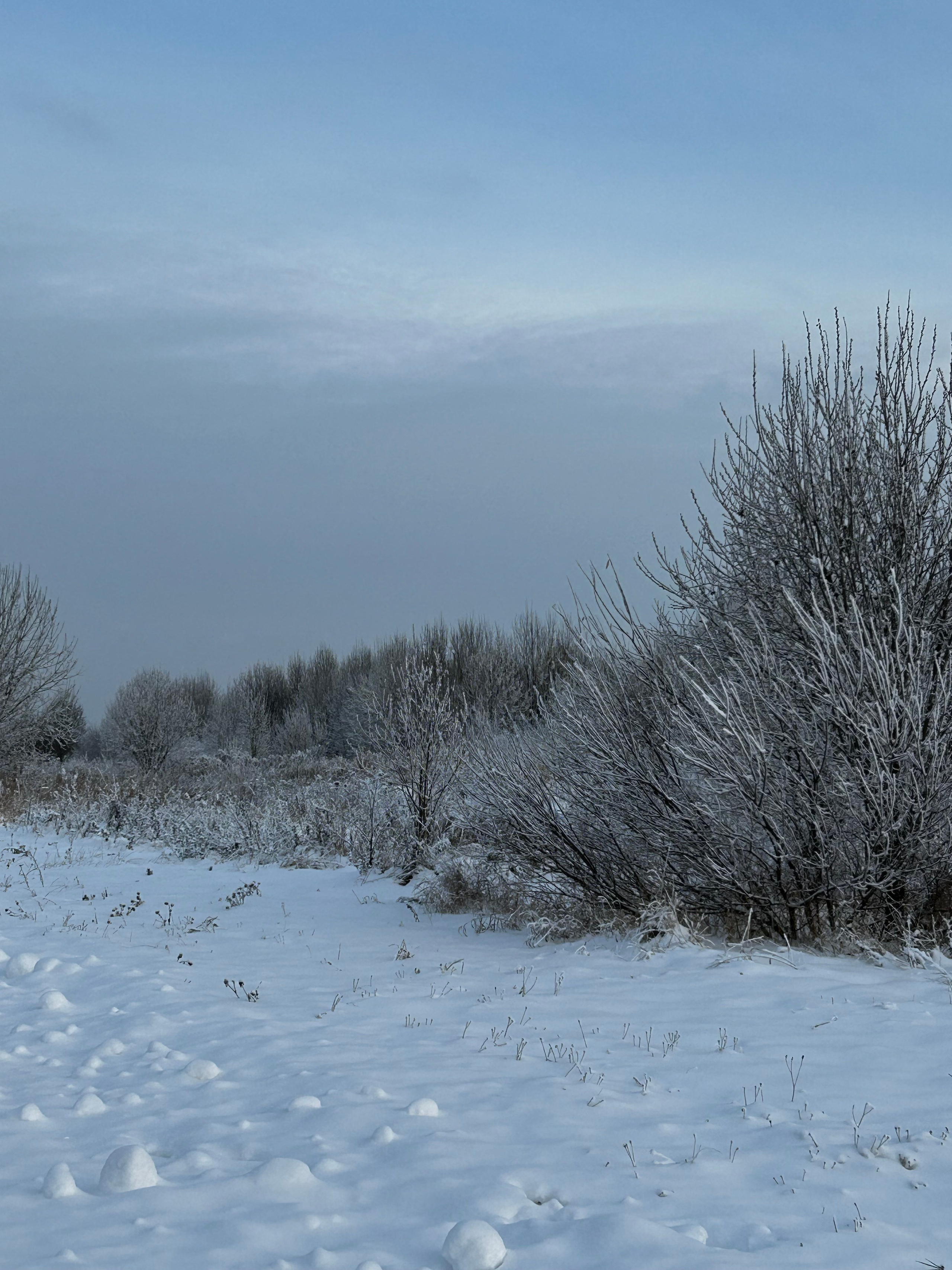 Зимняя сказка. Фотокружок «Видоискатель» ГБОУ СОШ № 291