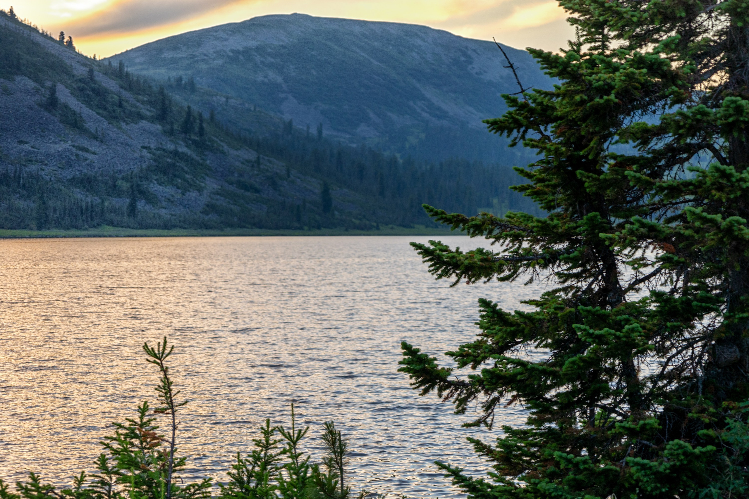 Ергаки. Семейный и детский фотограф в Красноярске, Дивногорцева Светлана