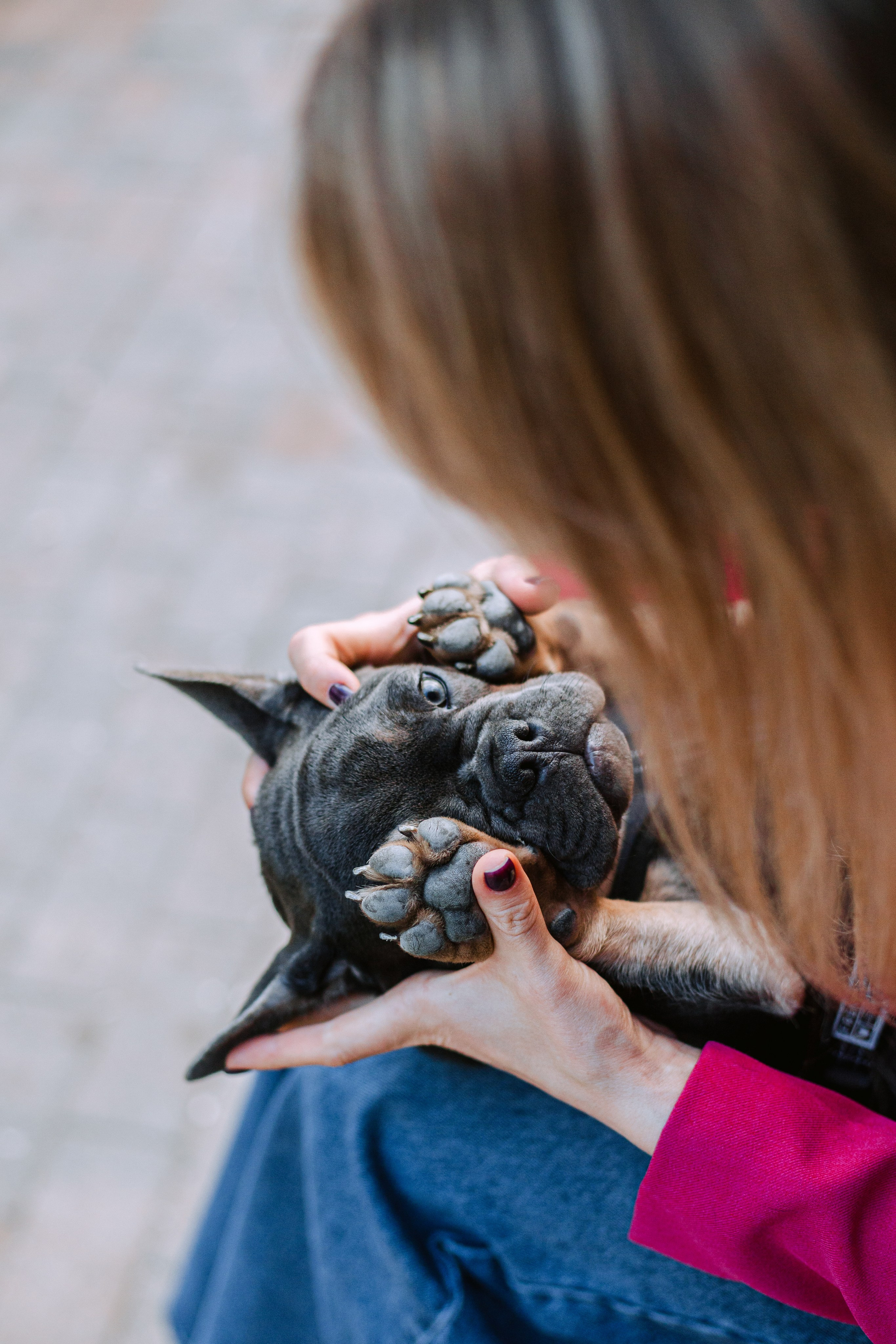 Даша и Мишель. Фотограф-анималист Татьяна Степанова