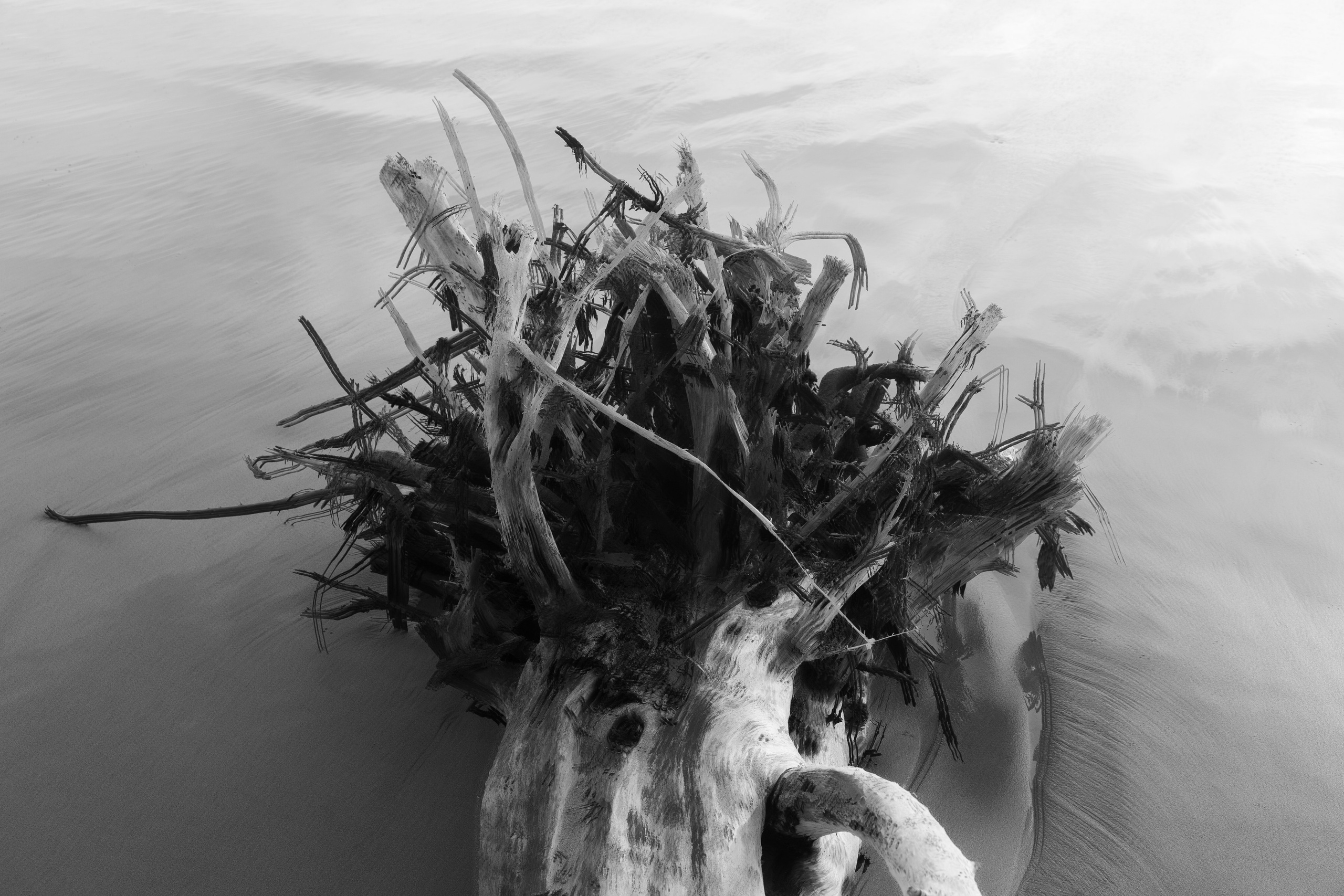 Art prints. Фотограф алина стерхова, алина стерхова фотограф, фотограф москва