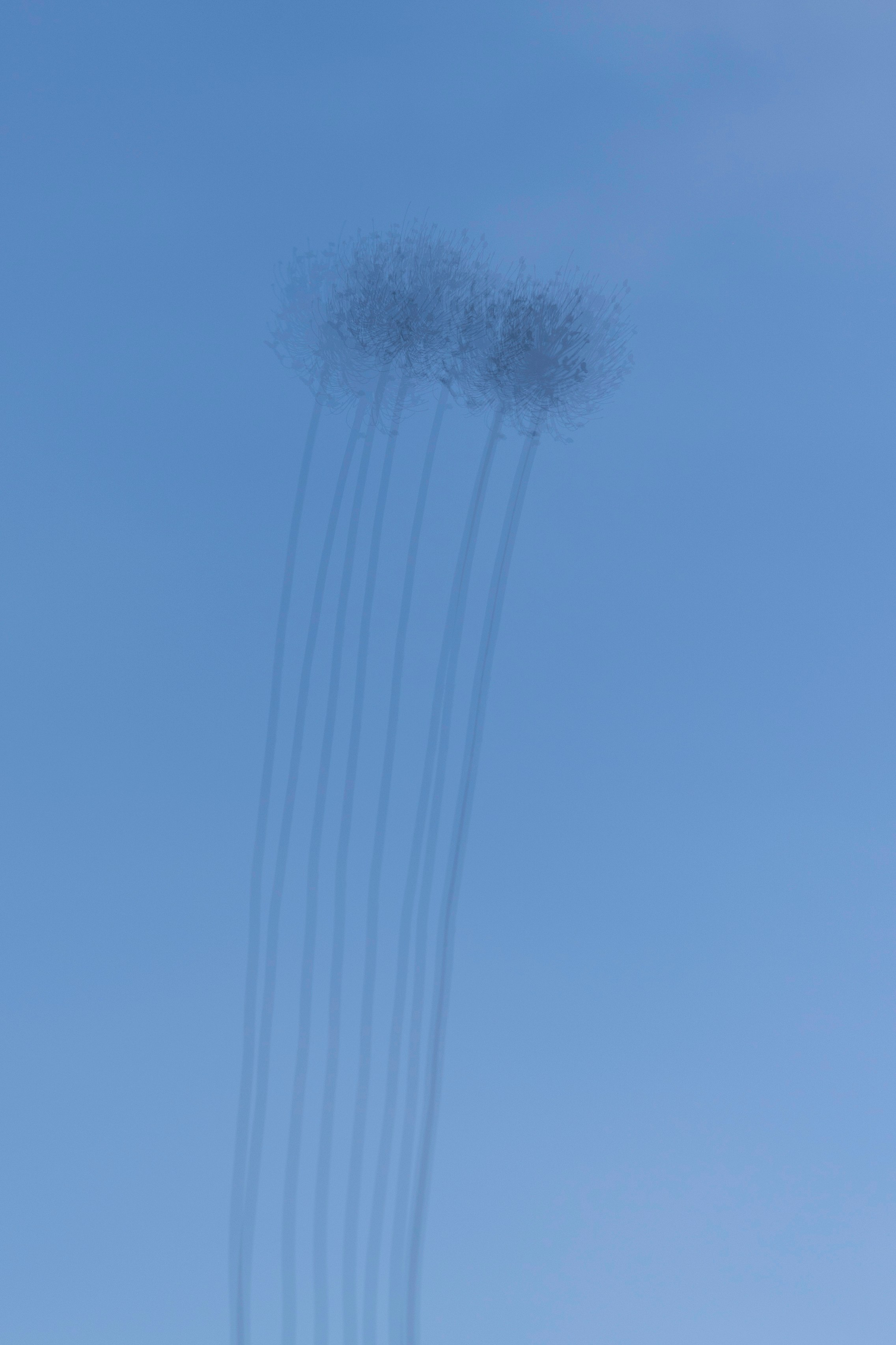 Art prints. Фотограф алина стерхова, алина стерхова фотограф, фотограф москва