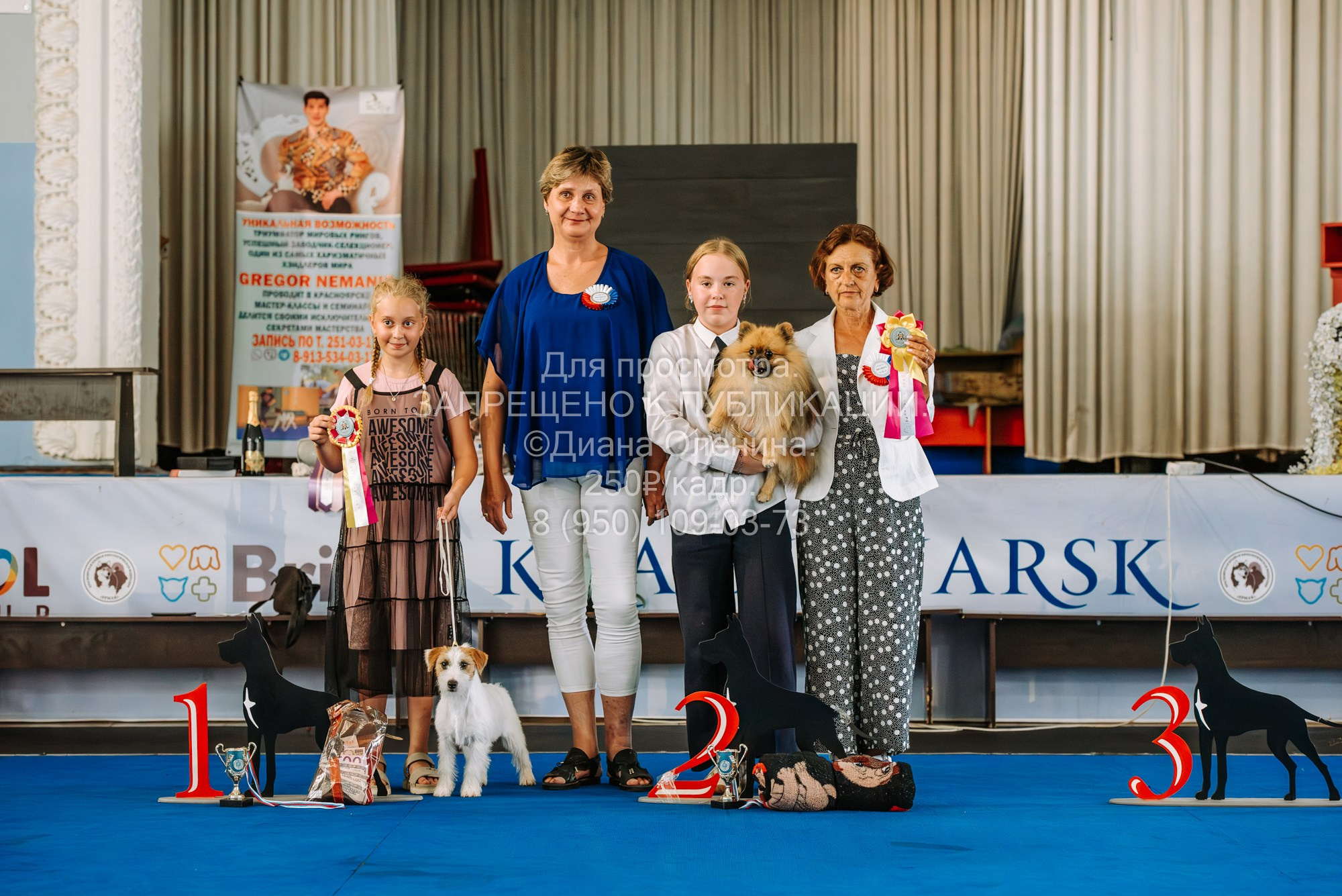 Национальная выставка собак всех пород ранга САС-IKU «Кубок Красноярск. Фотограф Диана Оленина Красноярск / Братск