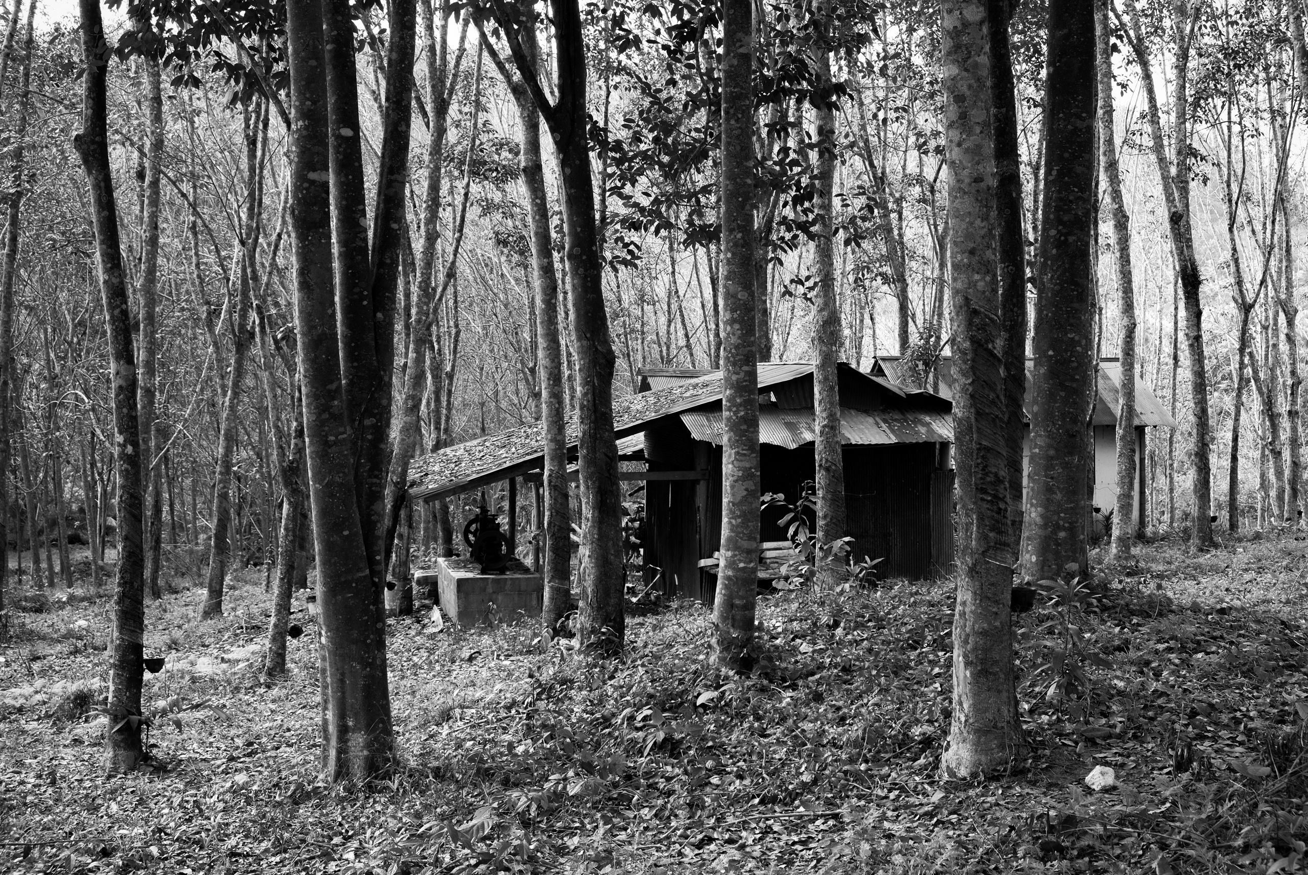 Street/ Thailand/ 2020. Anna Fedo Photo