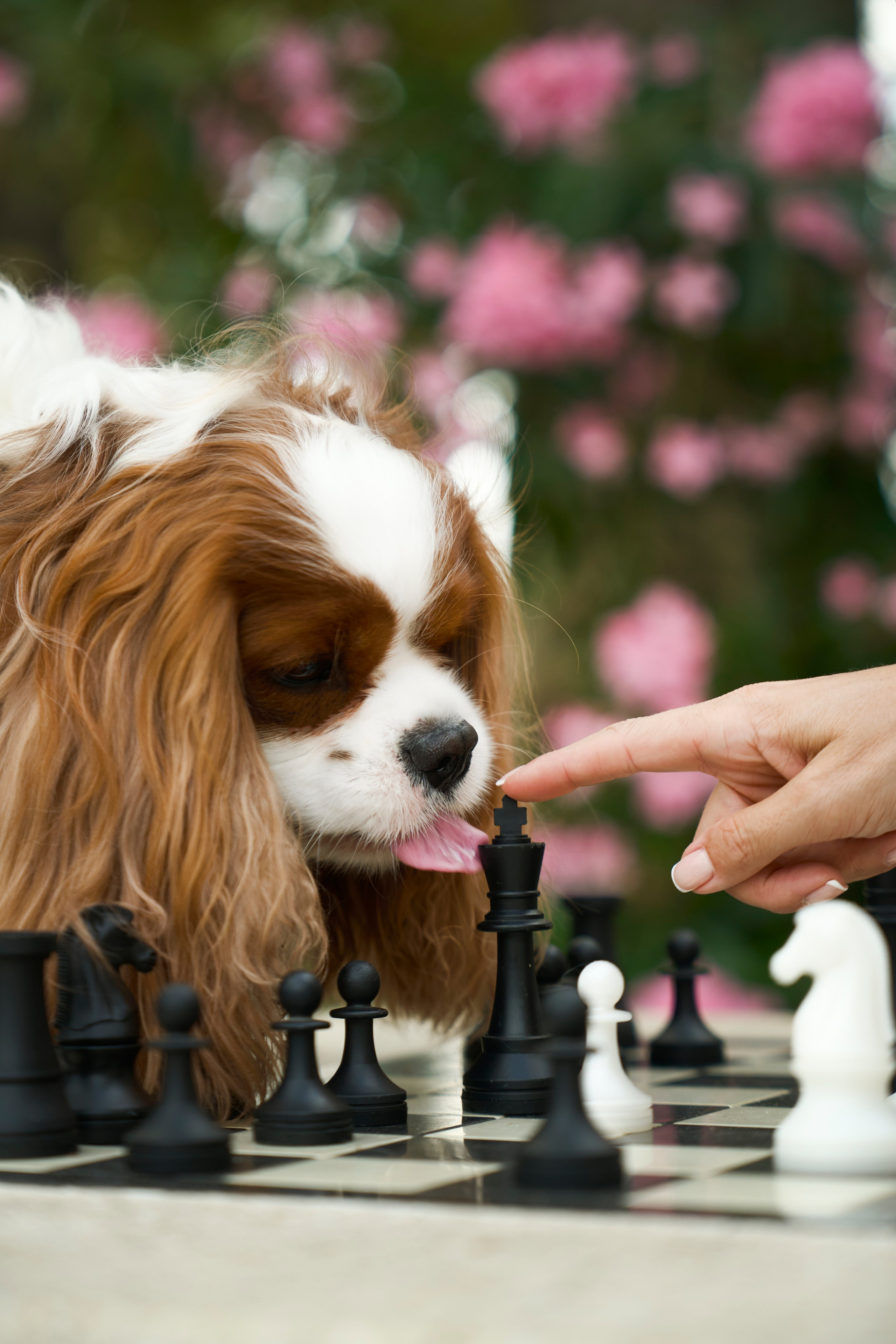 Мария и Симба