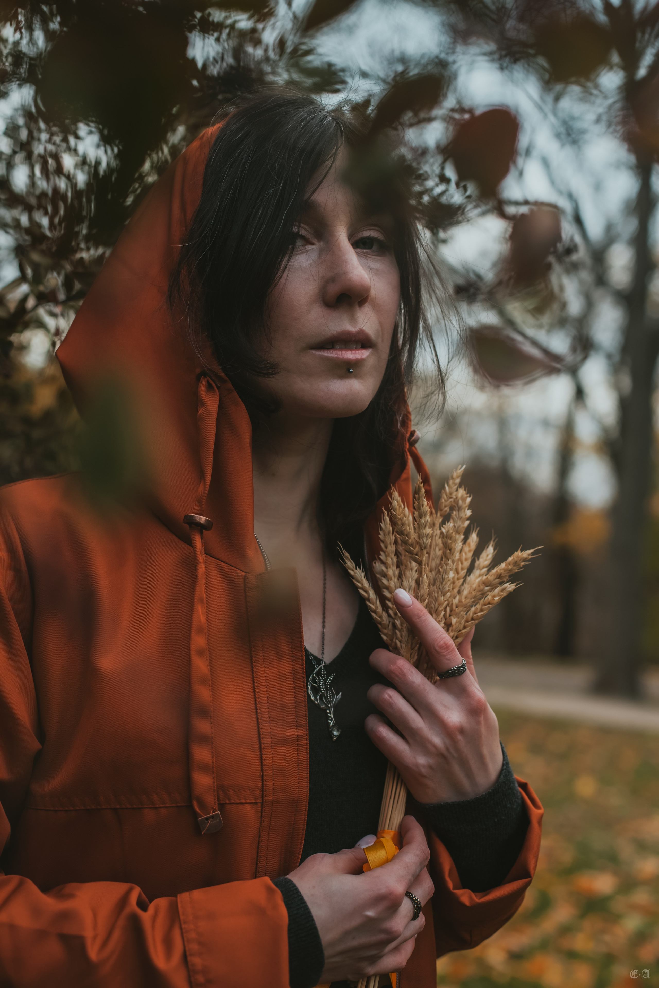 Осенние колосья для Белой Волчицы. Фотограф Ellairen