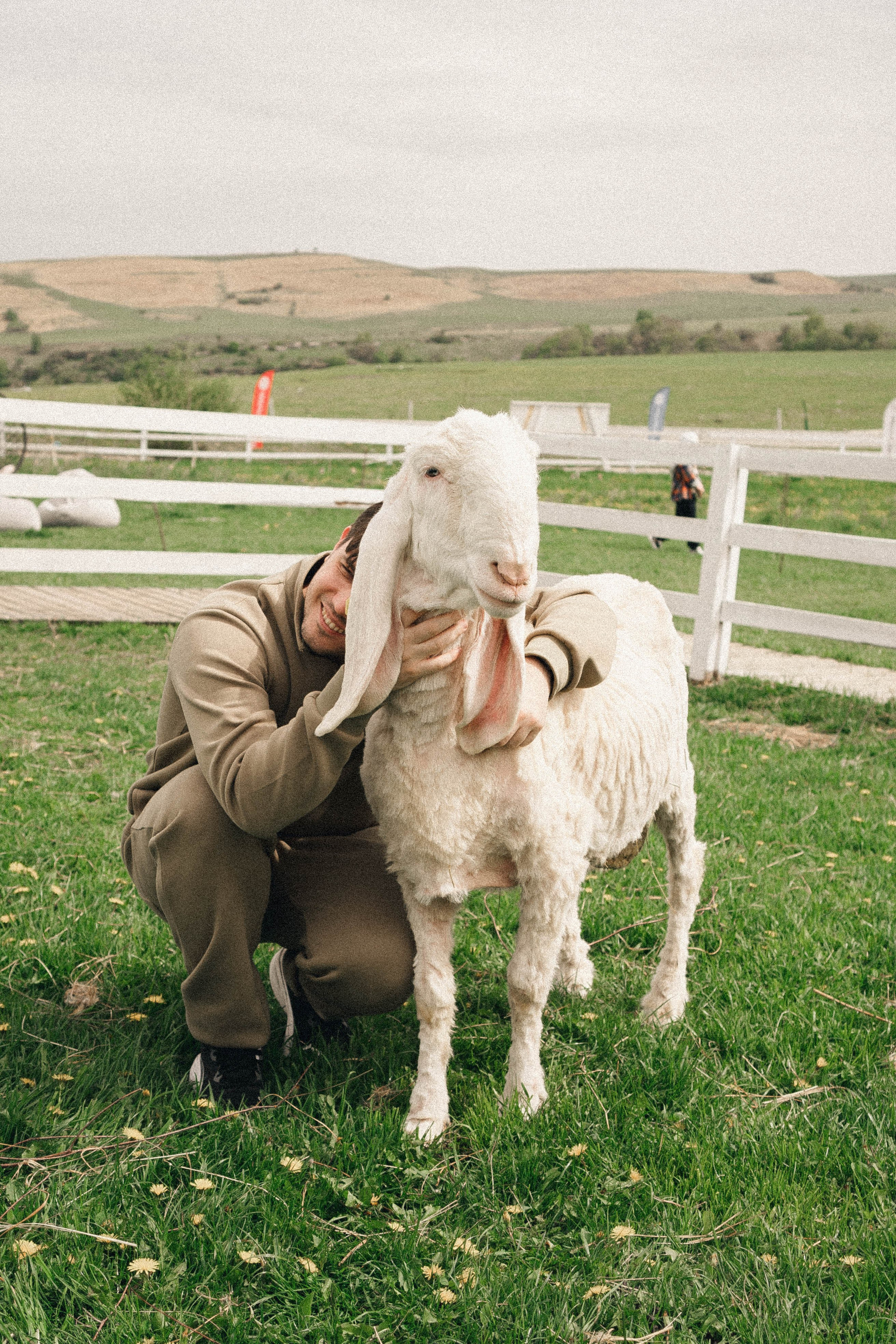 Ферма Альпак. Профессиональный фотограф, Санкт-Петербург — Виктория Богомолова