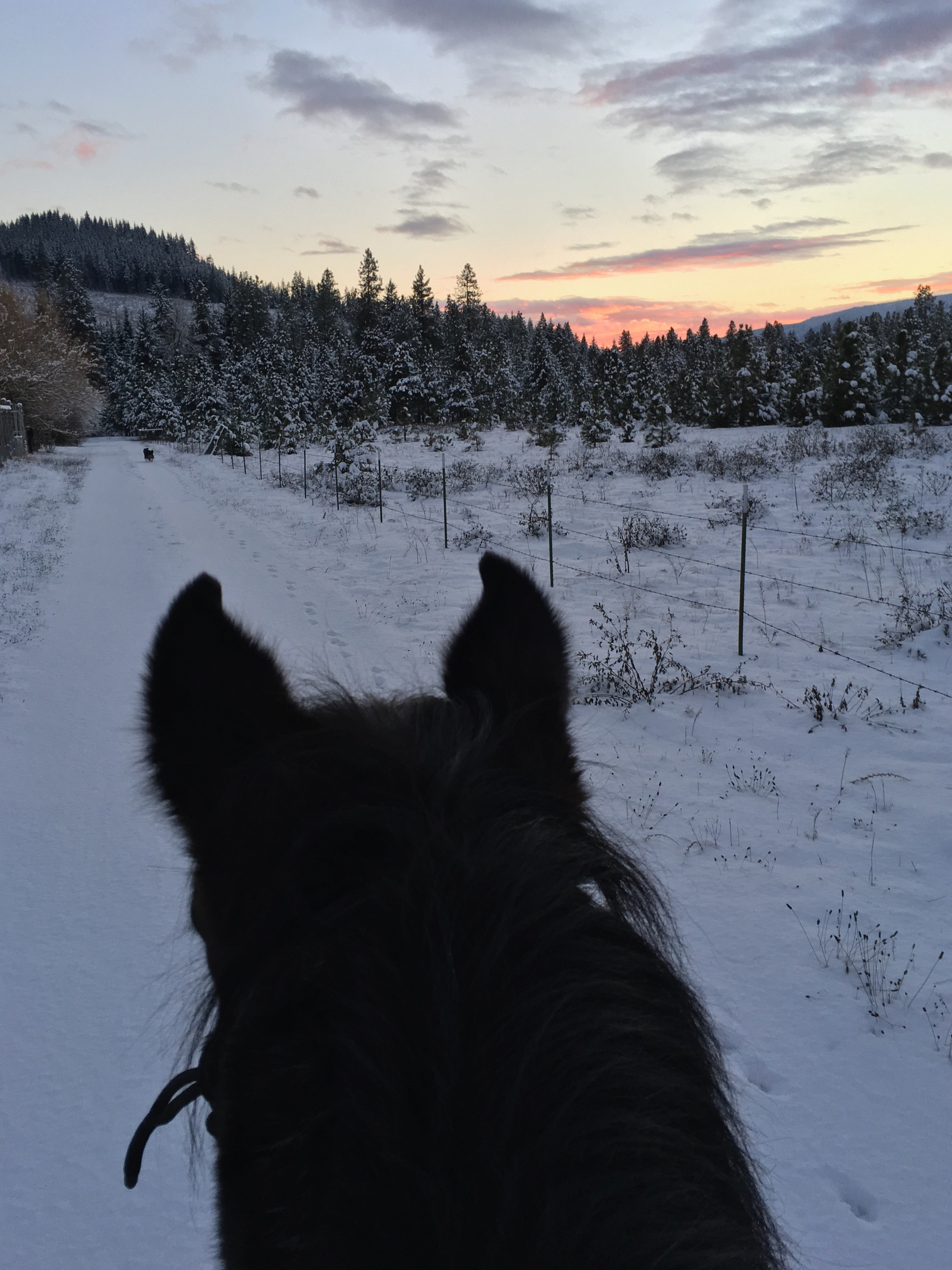 IPhone. Василий Буйлов|Vasilii Builov