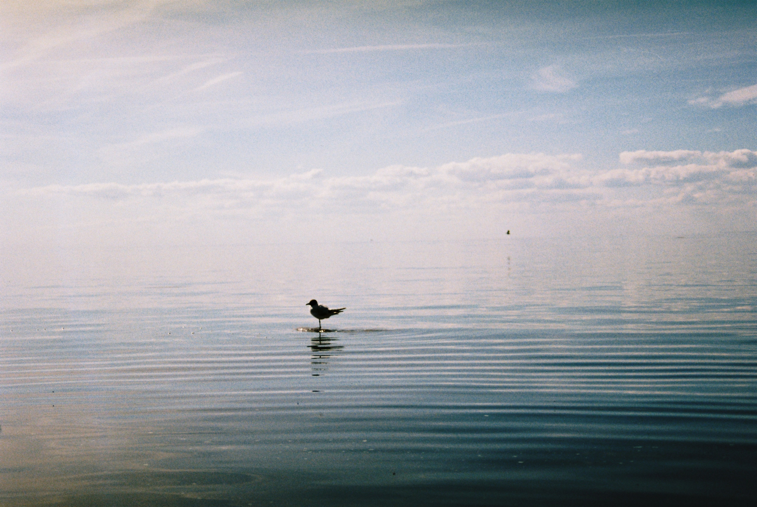 Путешествия. Anastasiia Kron