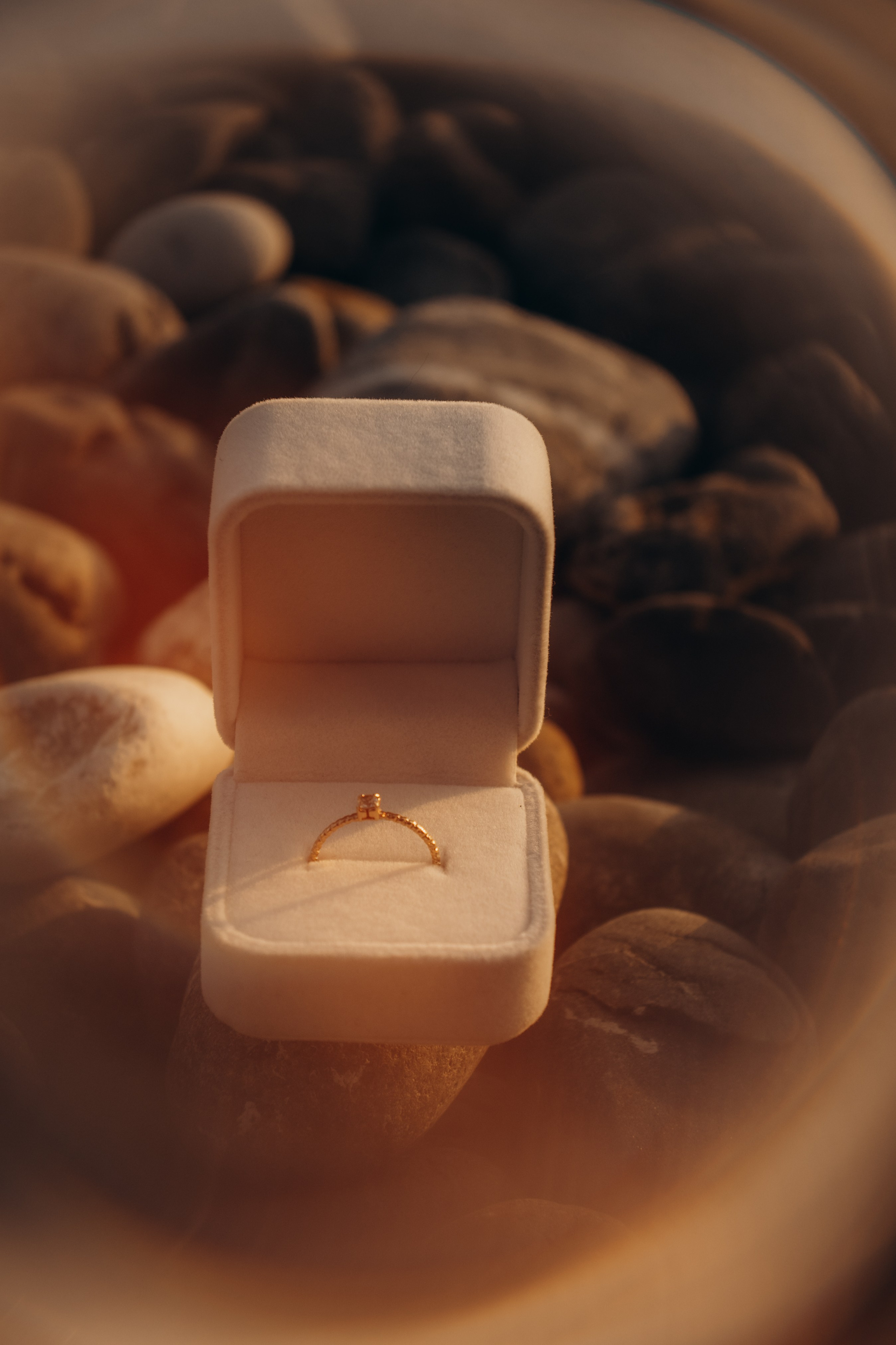 Анастасия и Даниил (предложение). Аплас Анастасия