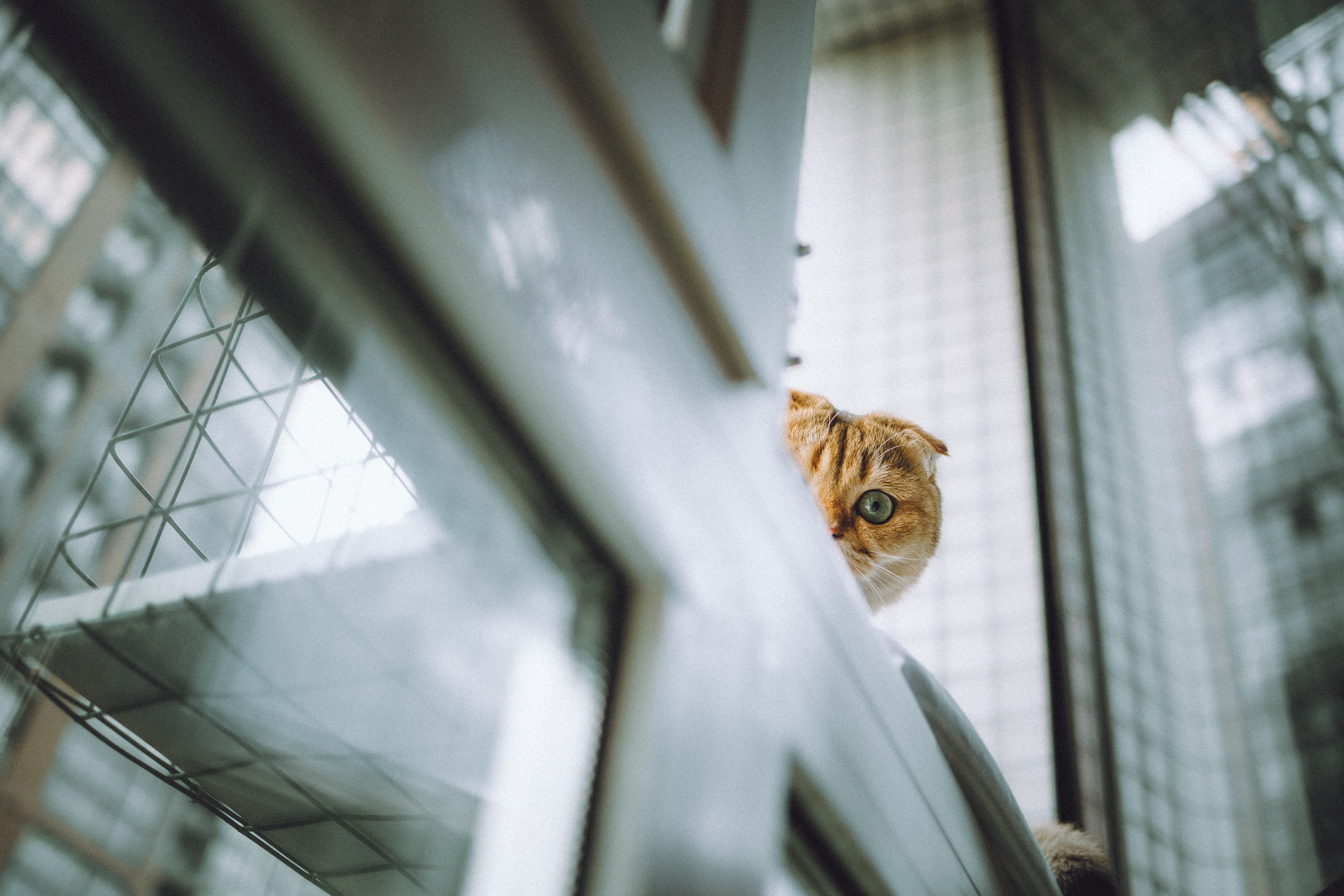 Генри и его семья