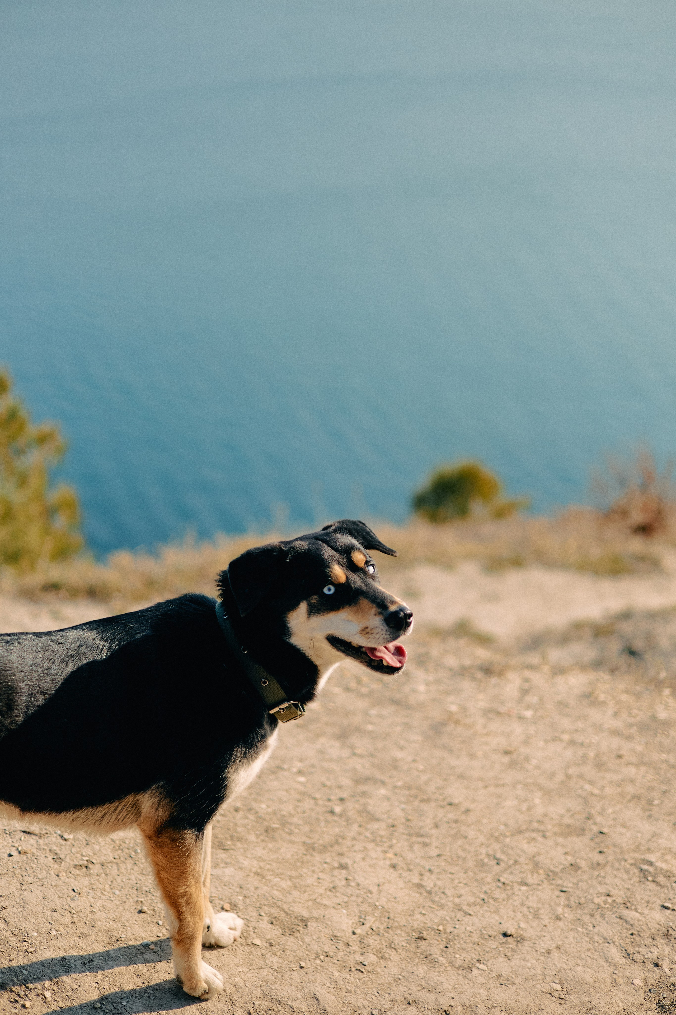 Юг России. Профессиональный Фотограф во Владимире, в Москве и в Суздале — Полина Романычева