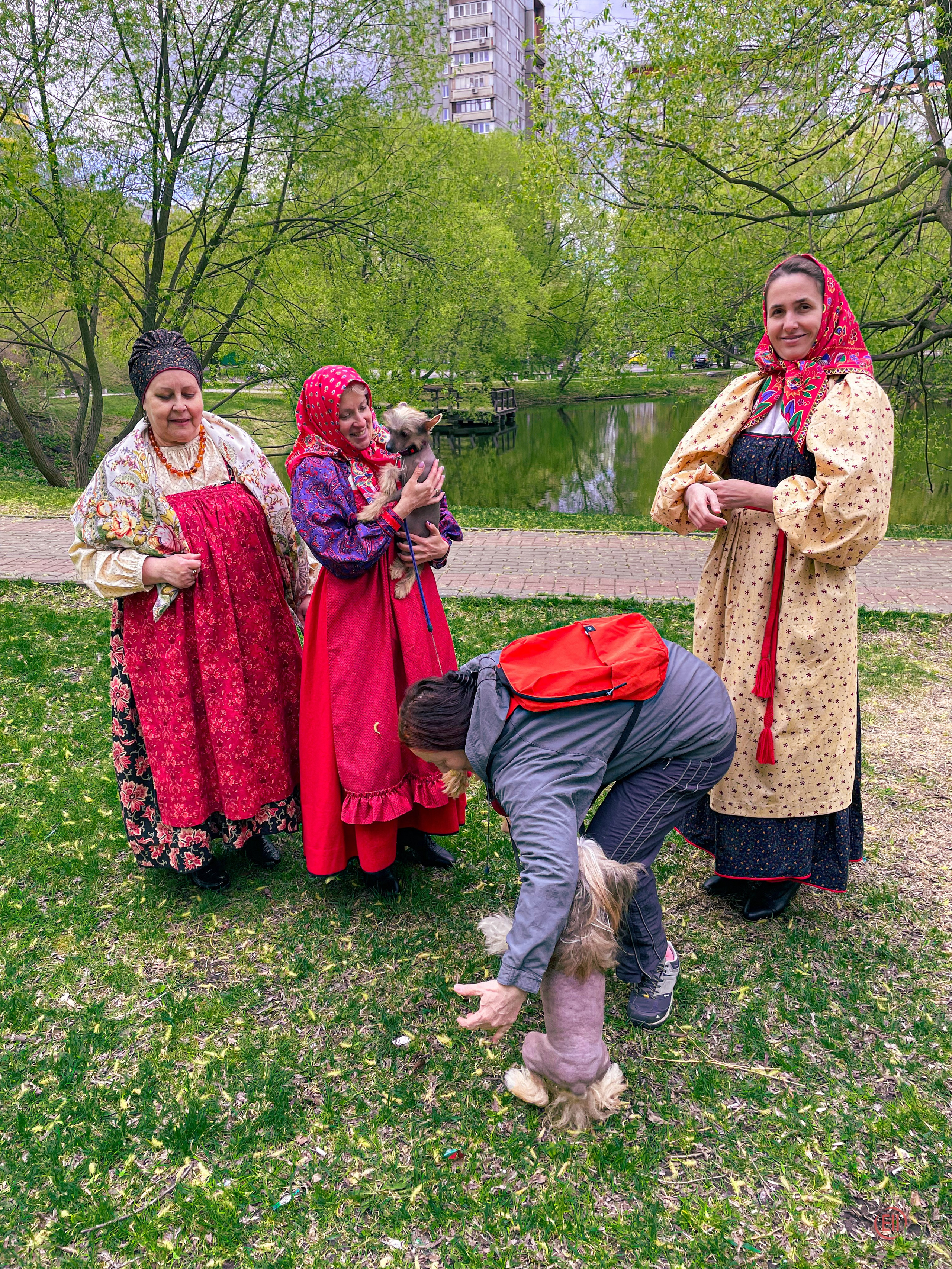 We were stopped on our walk!. Poale Ell Chinese Crested Dog Kennel: Buy a puppy from the kennel