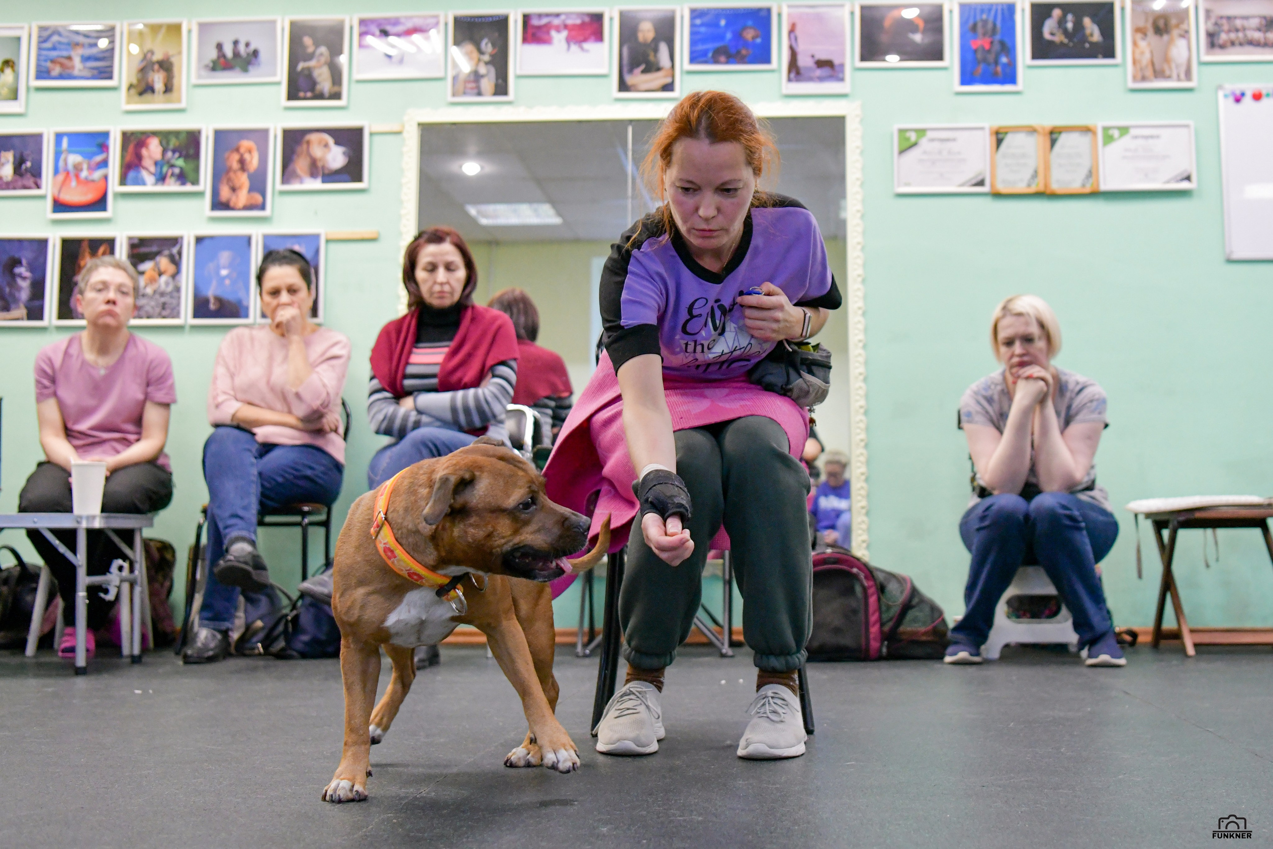 Кинологический клуб «Бодрый хвост». Свой взгляд через объектив