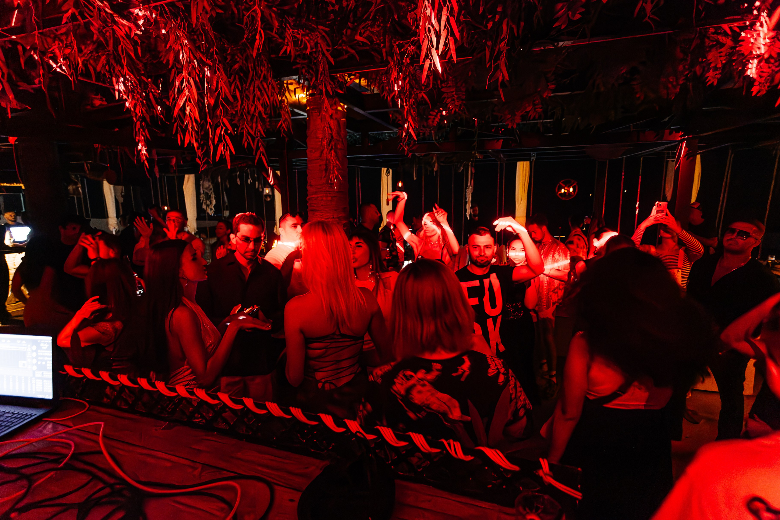 Чайка_на_пляже_Андро_Ялта_24.08.2024. Аминов Руслан | Фотограф