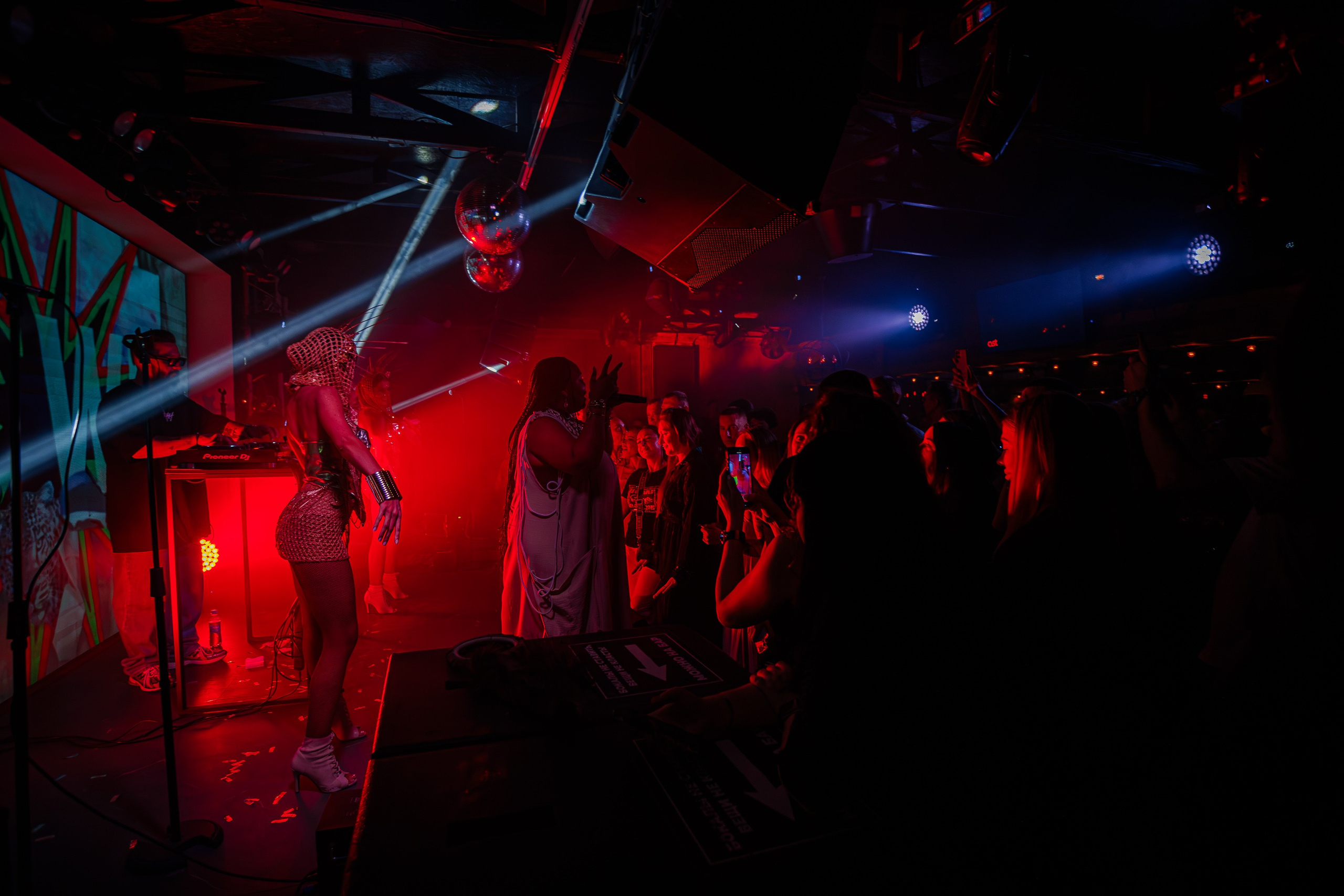 «LIZWI"_Чайка на пляже_Ялта_7.06.2025. Аминов Руслан | Фотограф