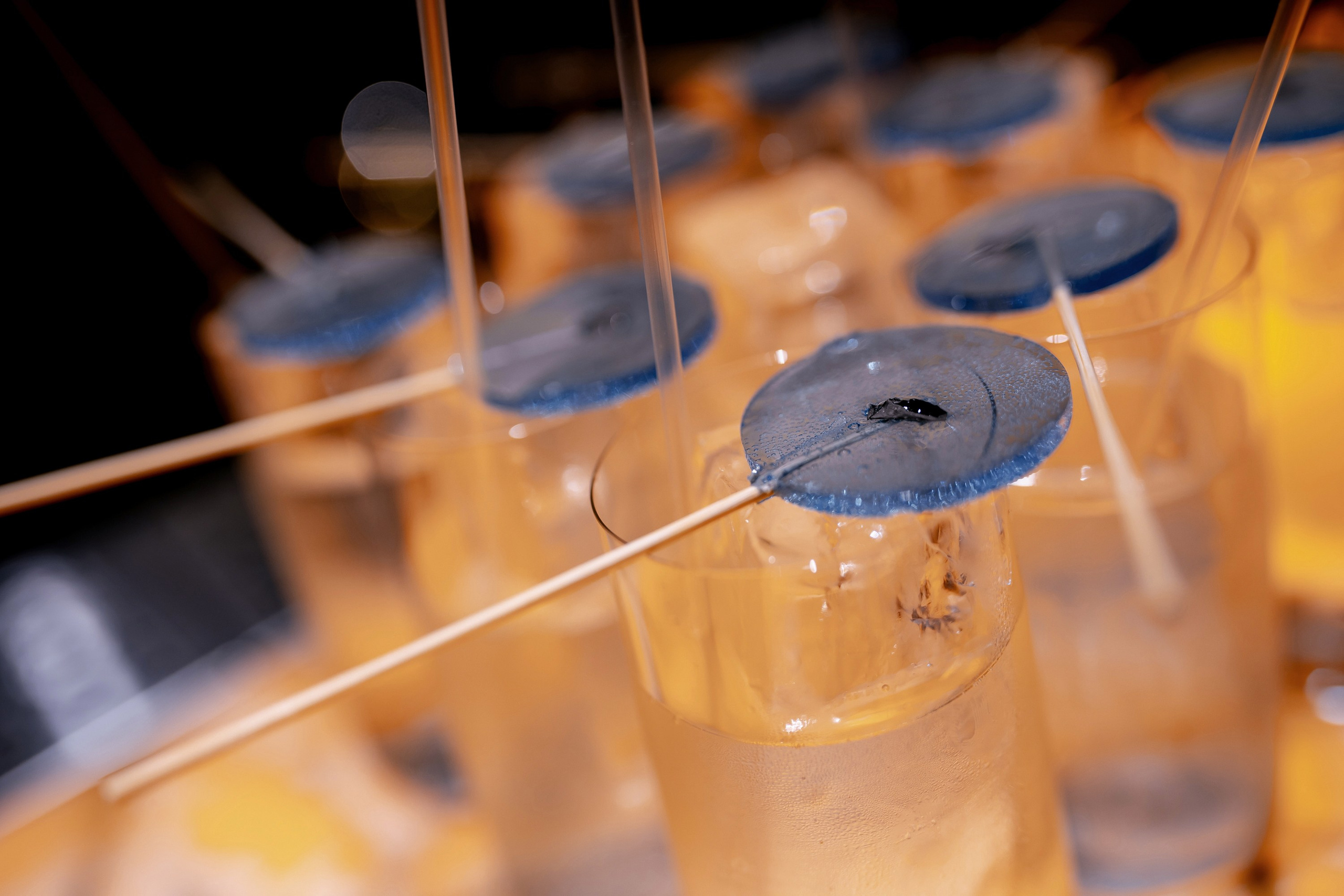 Коктейльный гастроужин Russian Panazia в Studio64. Главная