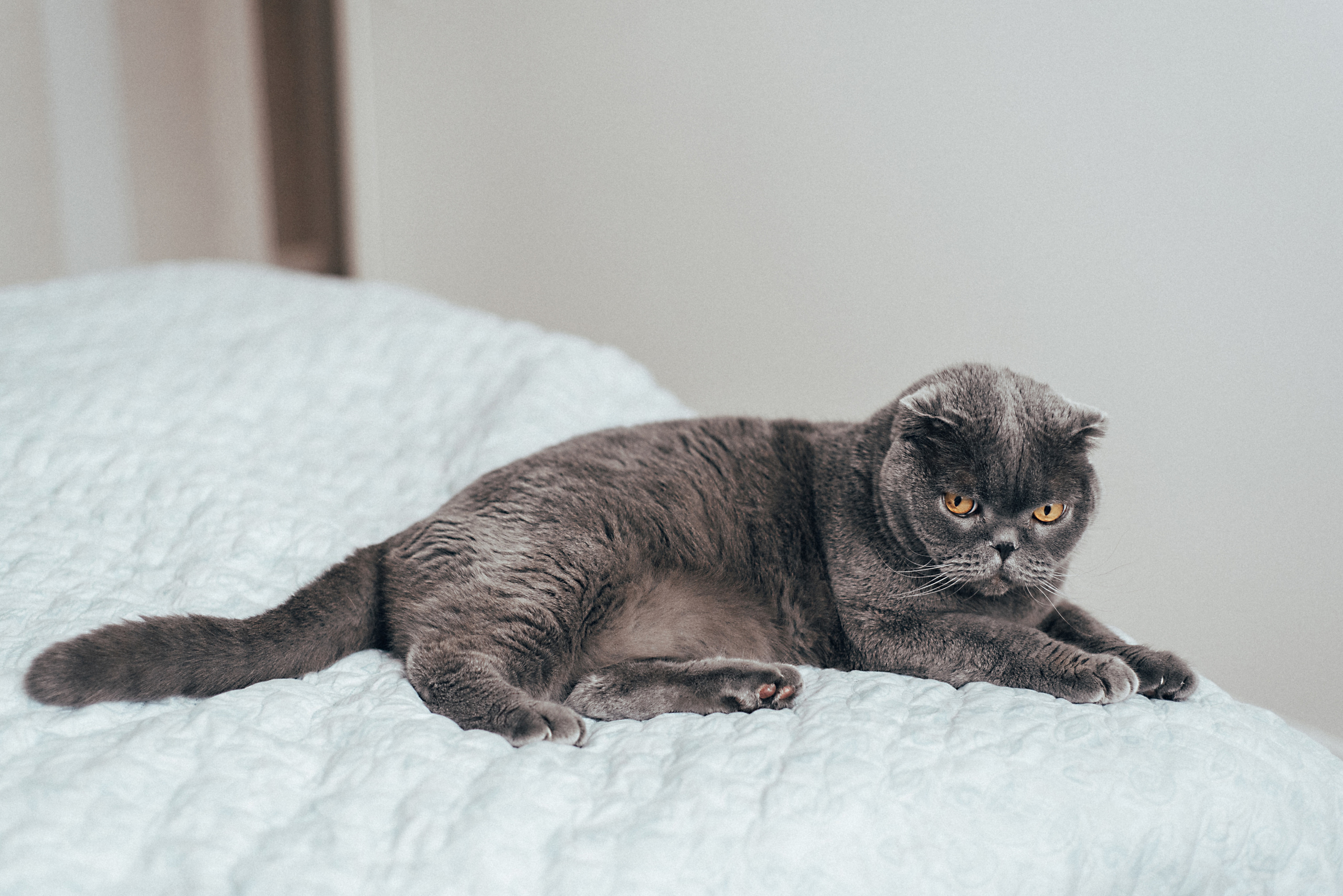 Яна Саша +1. Фотограф Милка Татьяна