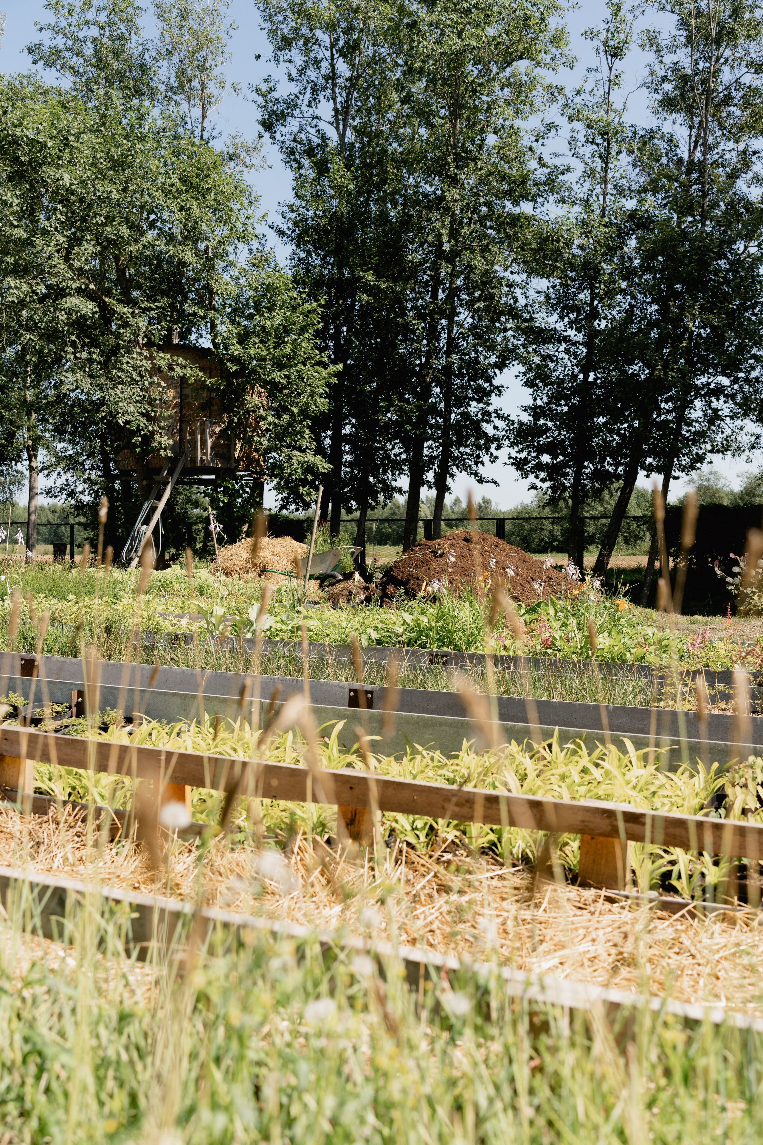 Семейный питомник. Виктория Саханкова — портретный и семейный фотограф в Москве