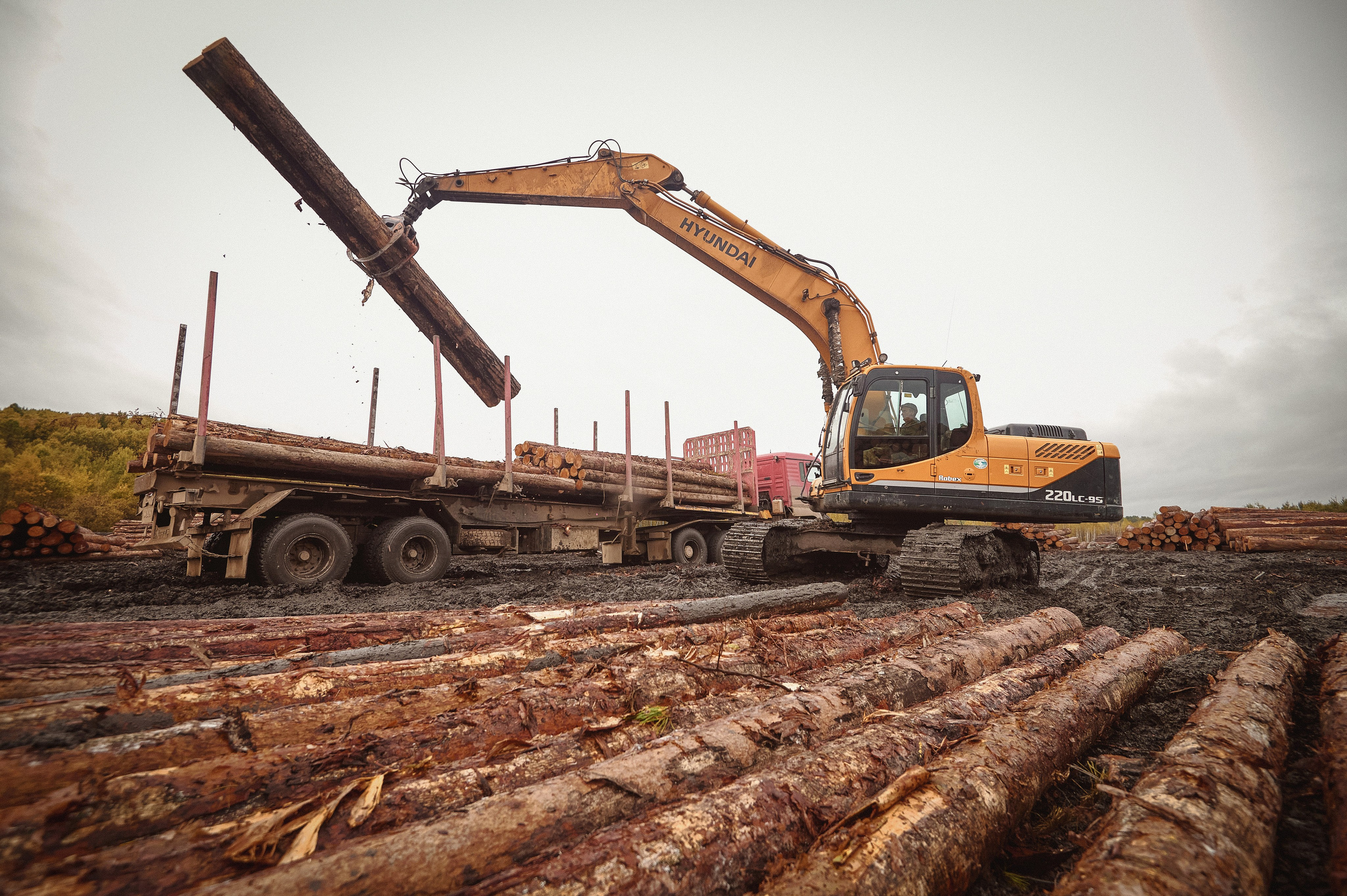 Лесозаготовка г. Мотыгино. Фотограф Яковлев Роман — Красноярск